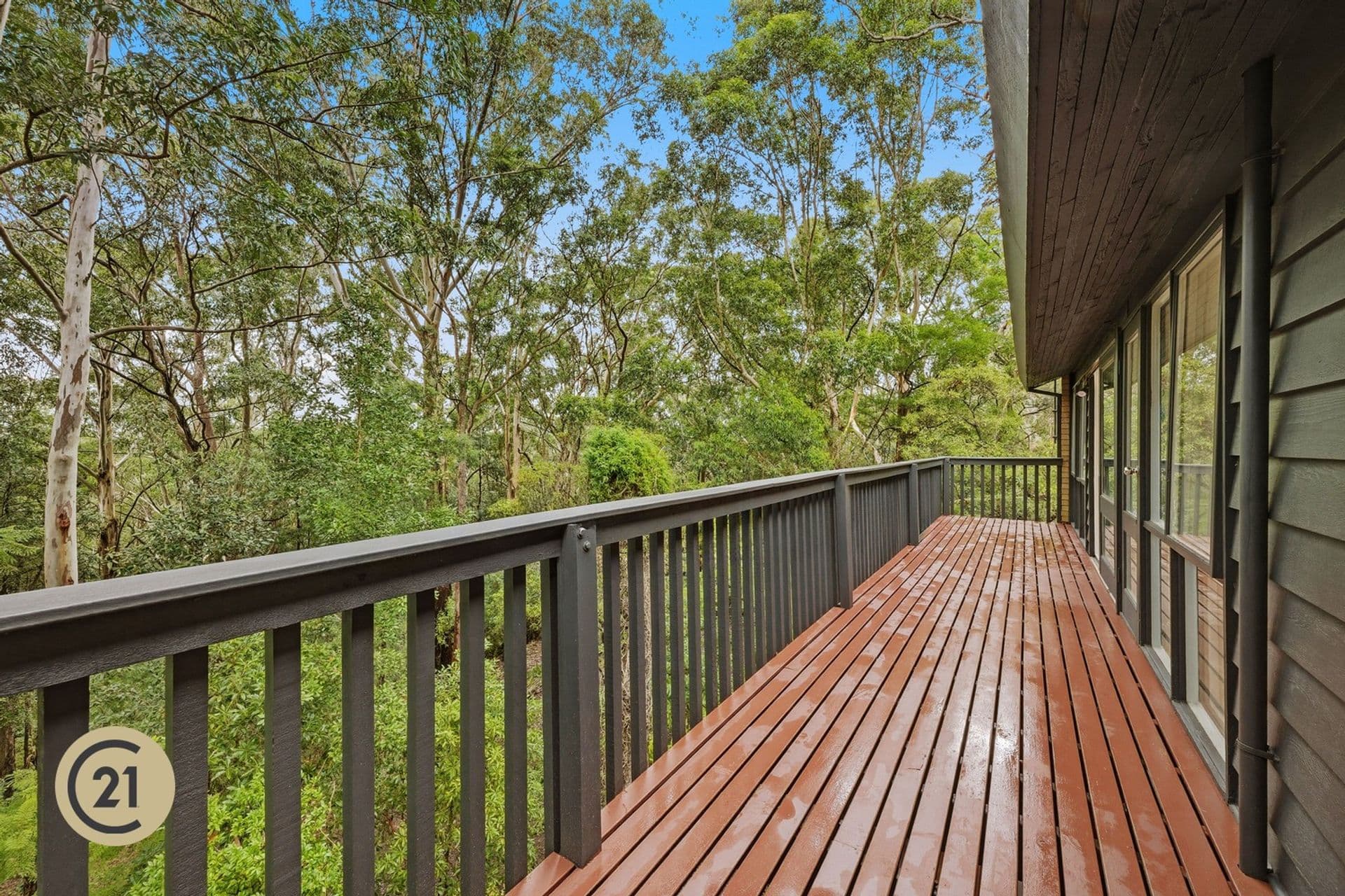 104 Westmore Drive, West Pennant Hills, NSW, 2125, West Pennant Hills - Thumbnail 6