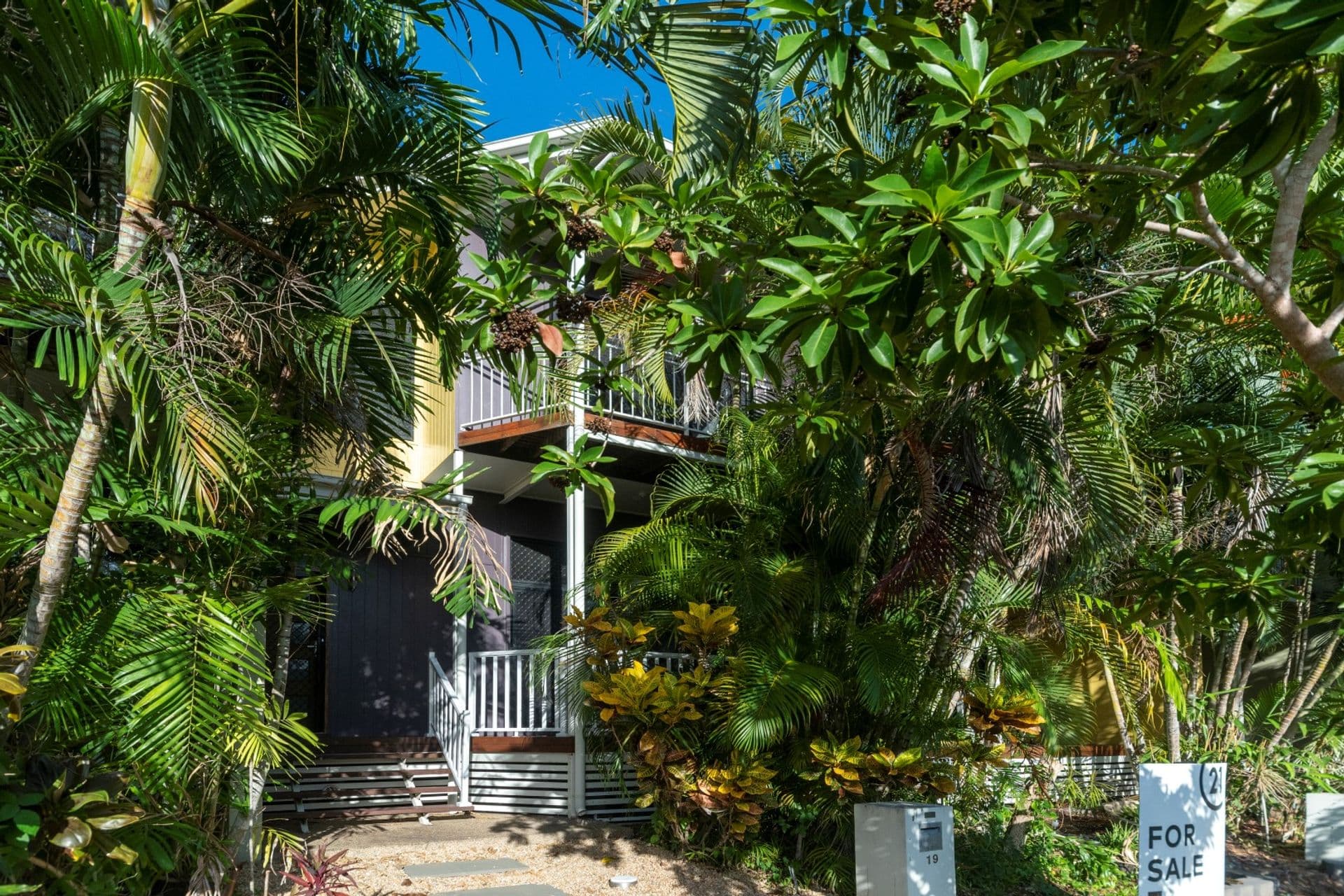 19 Paddington Terrace, Douglas, QLD, 4814, Douglas - Thumbnail 7