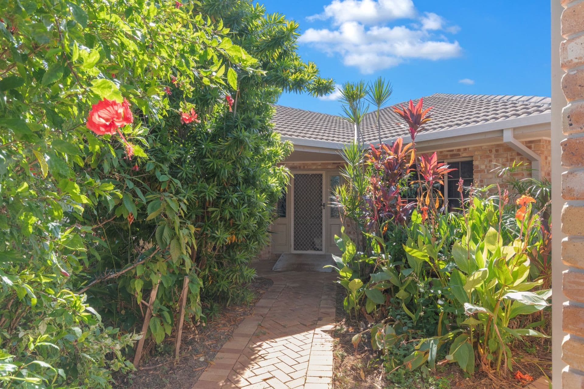 7 Boronia Drive, Annandale, QLD, 4814, Annandale - Thumbnail 2