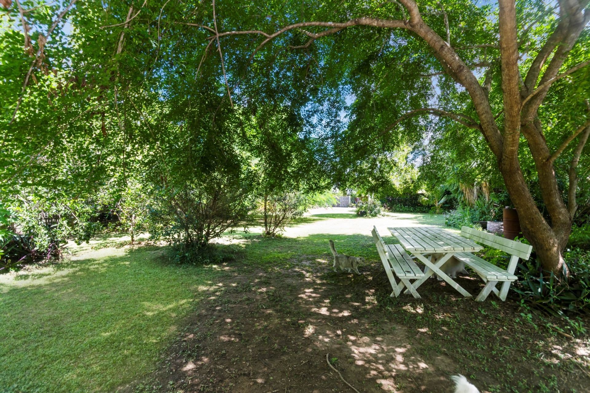 204 Ireland Street, Oonoonba, QLD, 4811, Oonoonba - Thumbnail 7