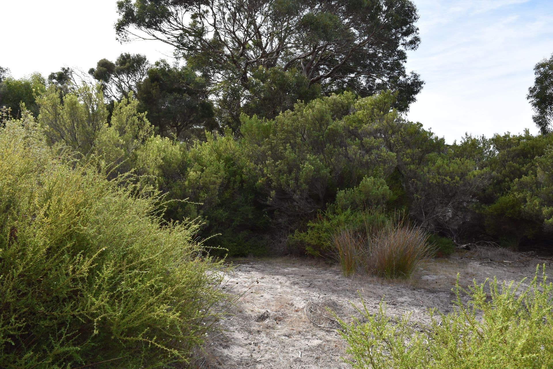 Lot 192 Nepean Esplanade, Nepean Bay, SA, 5223, Nepean Bay - Thumbnail 8