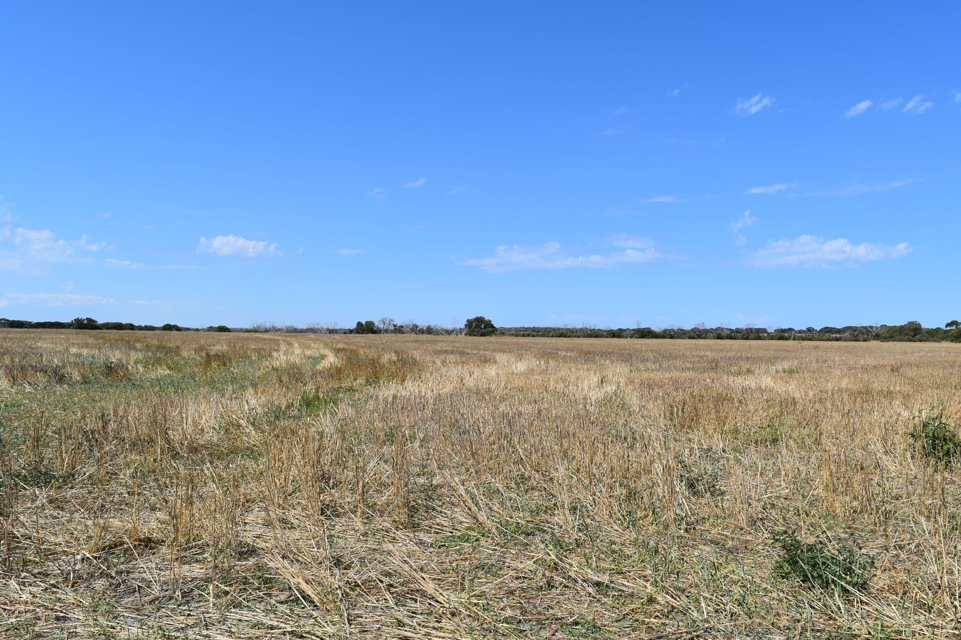 Sections 104 105 Three Chain Road, Haines, SA, 5223, Haines - Thumbnail 6