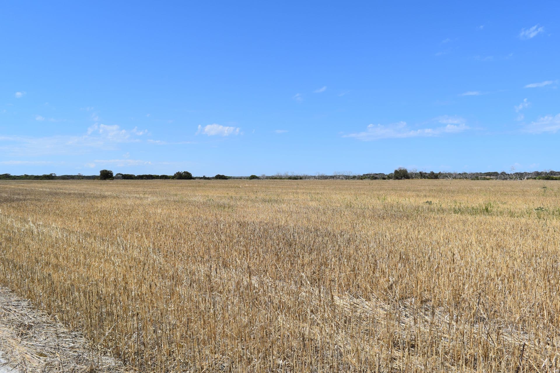 Sections 104 105 Three Chain Road, Haines, SA, 5223, Haines - Thumbnail 7