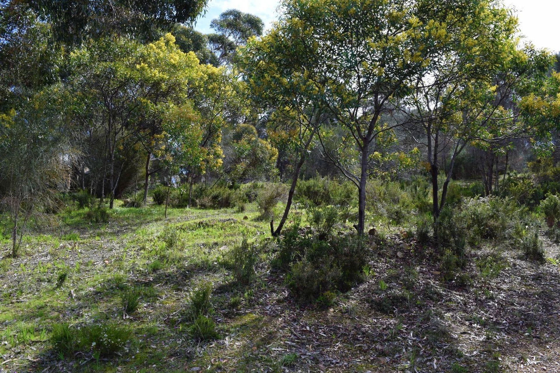 47 Bayview Road, American River, SA, 5221, American River - Thumbnail 7