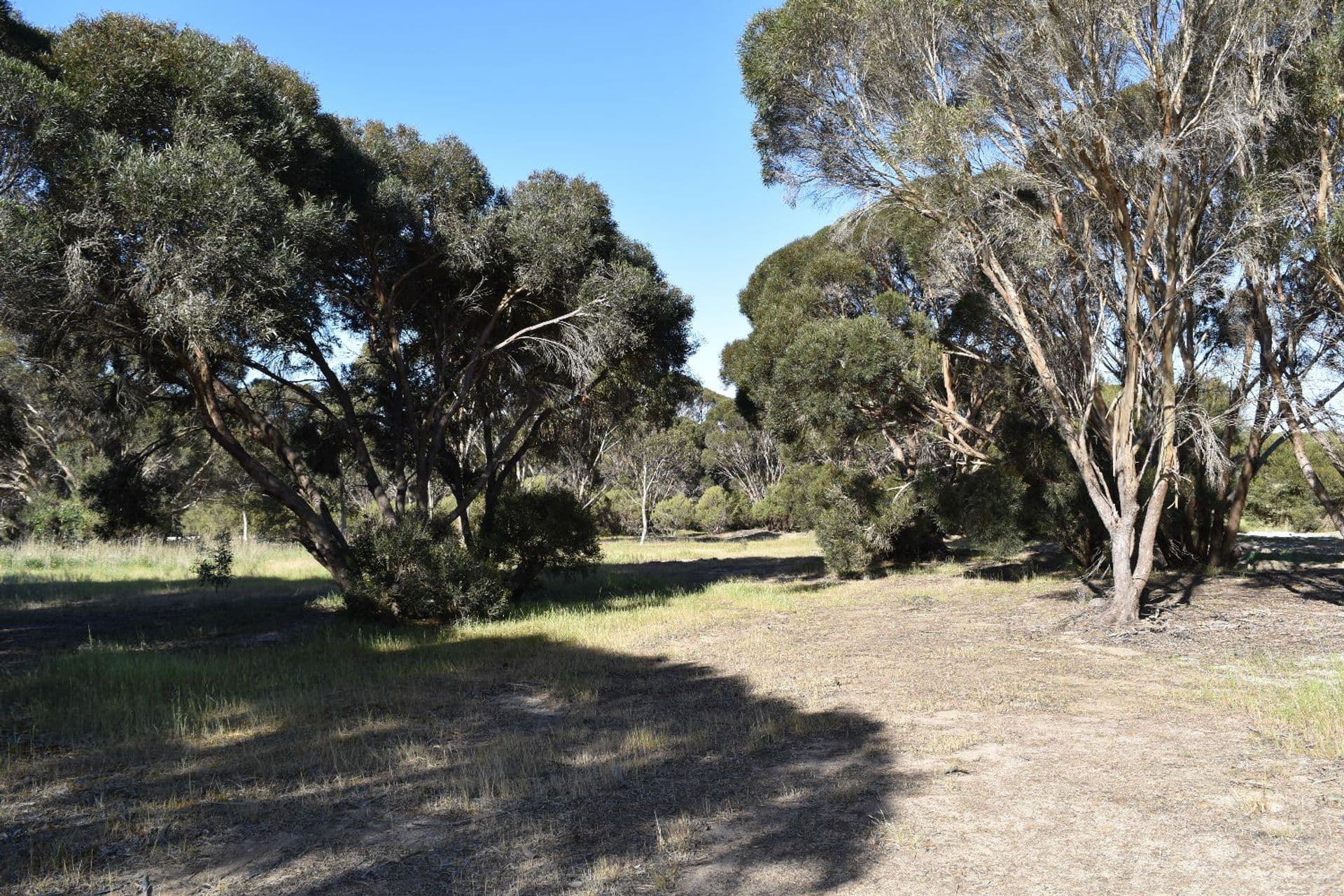 1121 Springs Road, Wisanger, SA, 5223, Menzies - Thumbnail 3
