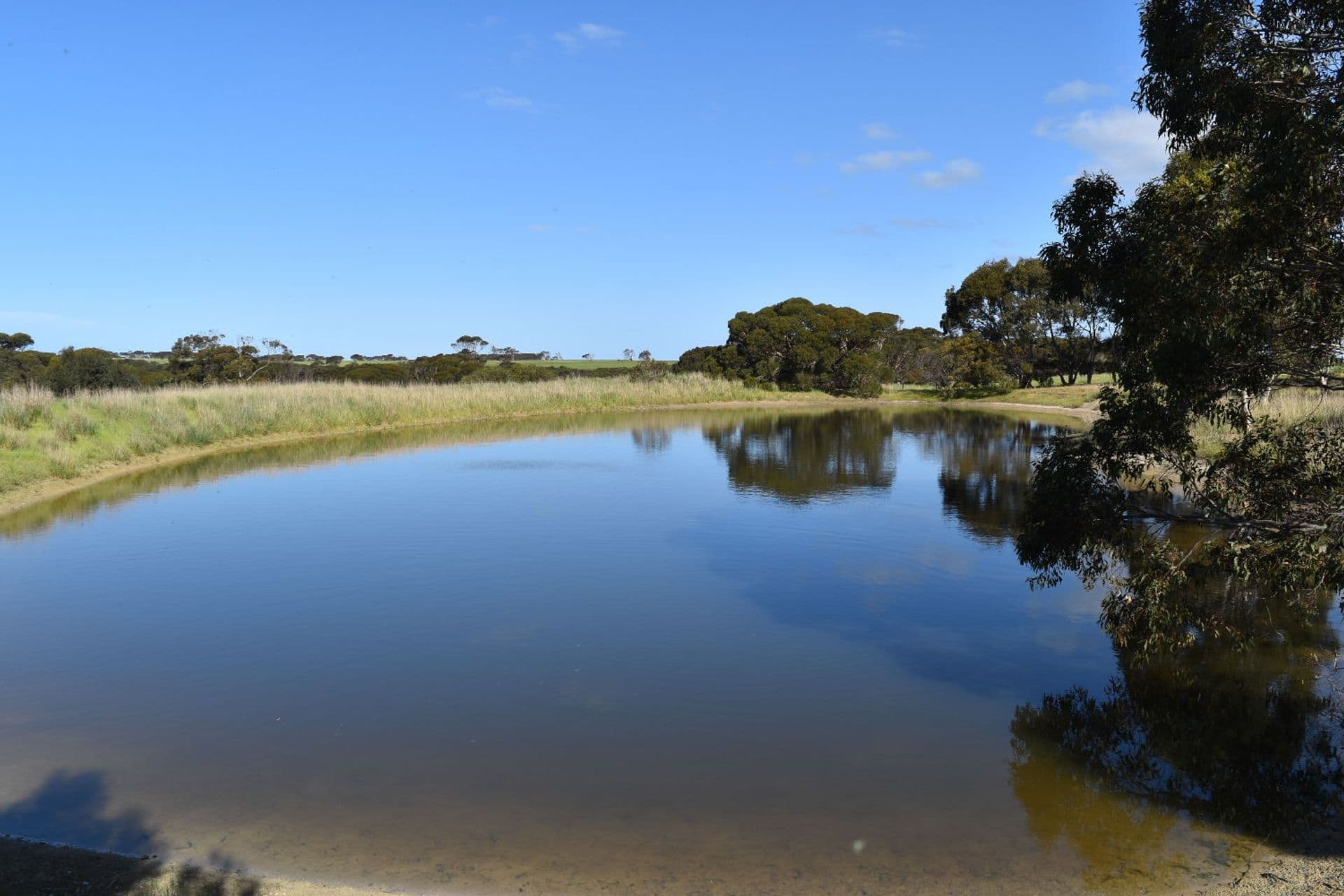 1121 Springs Road, Wisanger, SA, 5223, Menzies - Thumbnail 5