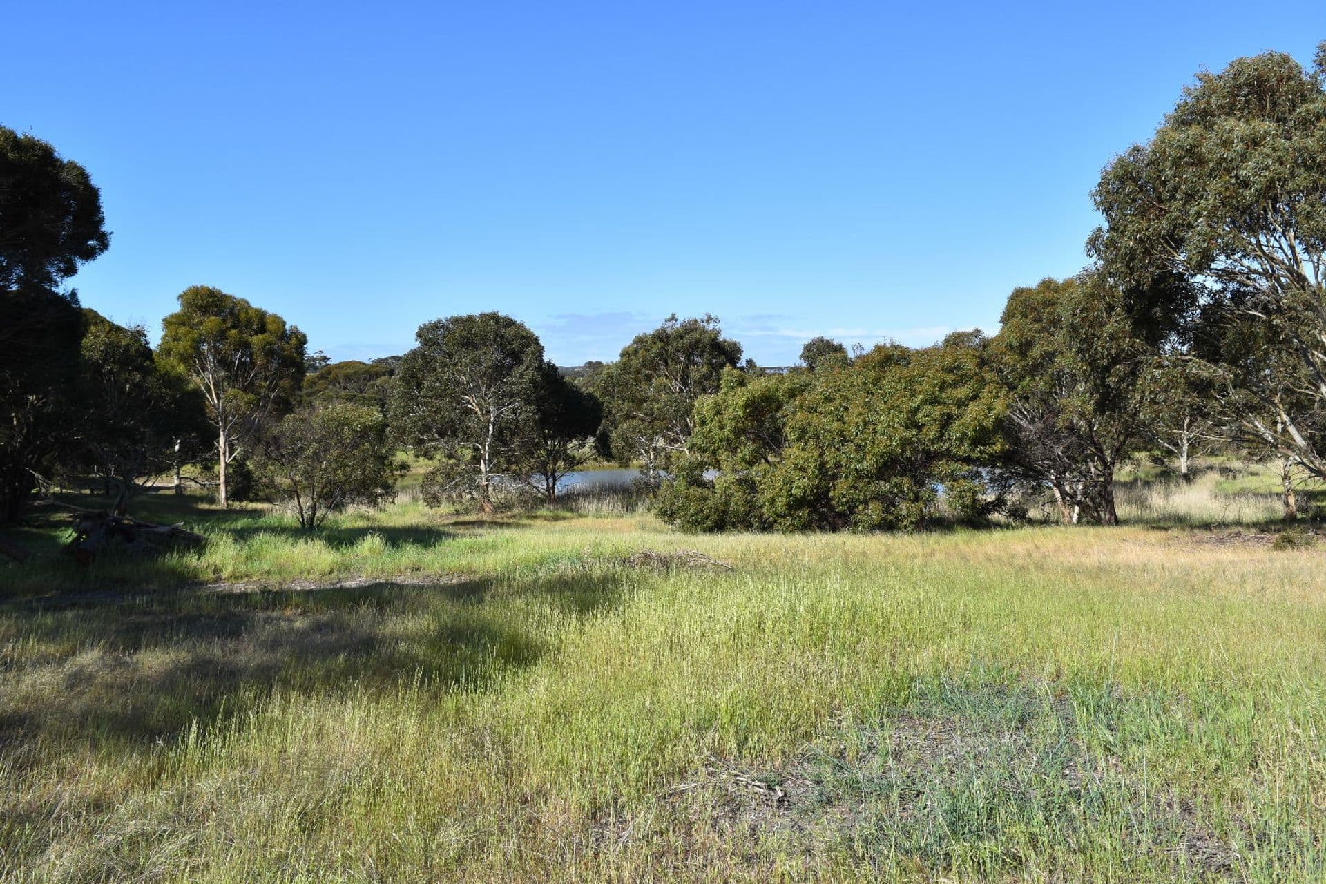 1121 Springs Road, Wisanger, SA, 5223, Menzies - Thumbnail 7