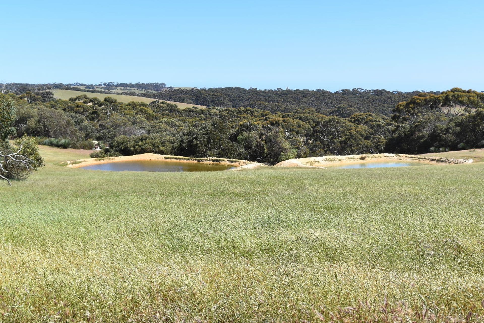 285 Barker Road, Middle River, SA, 5223, Middle River - Thumbnail 5