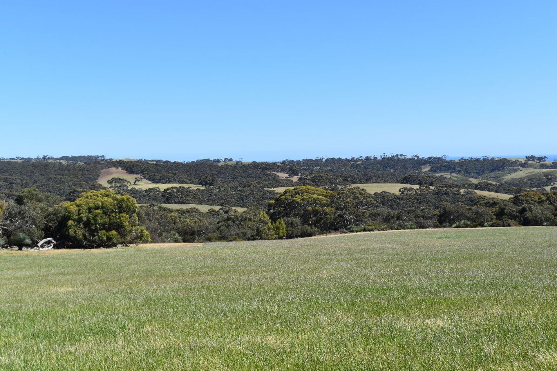 285 Barker Road, Middle River, SA, 5223, Middle River - Thumbnail 6