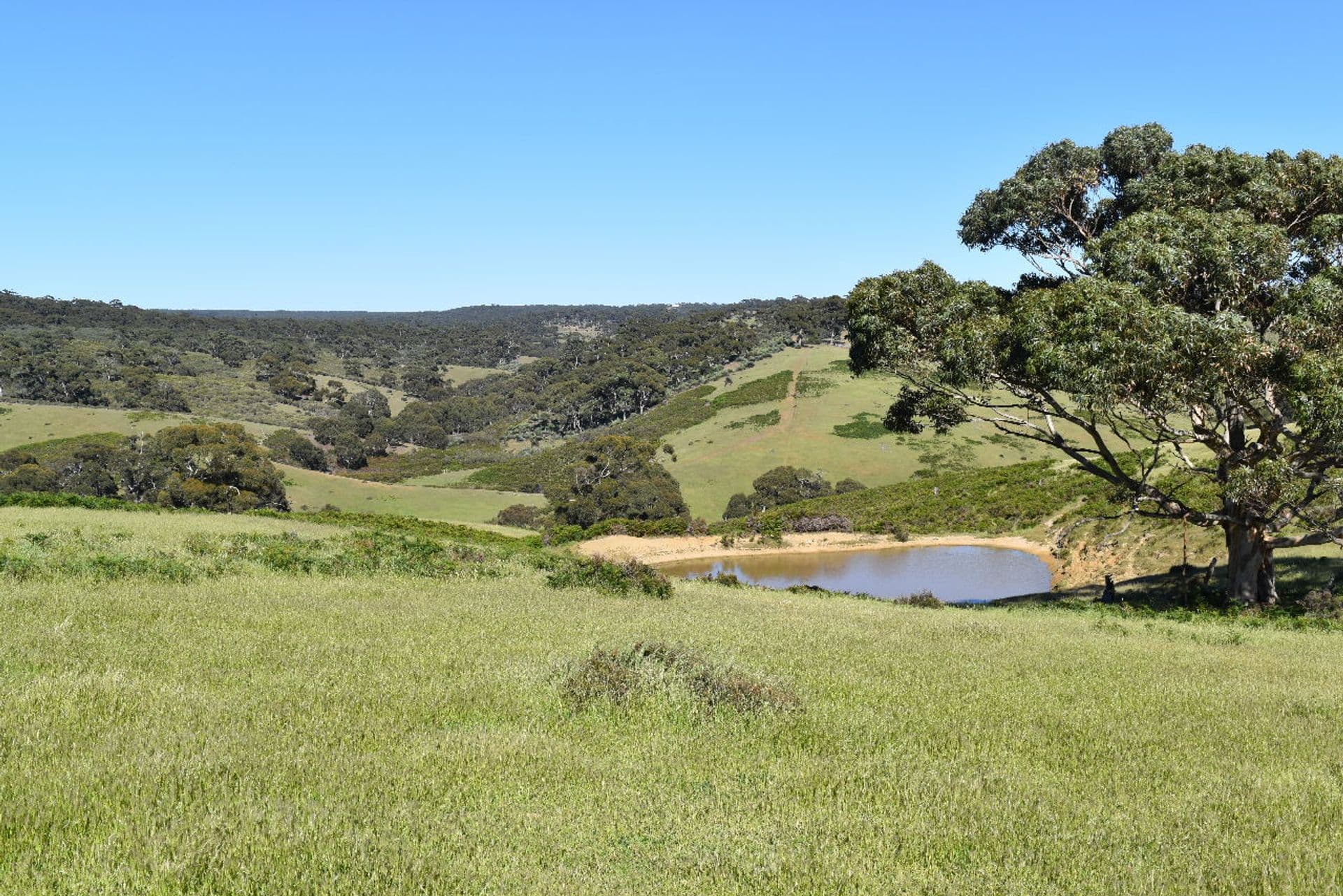 285 Barker Road, Middle River, SA, 5223, Middle River - Thumbnail 8