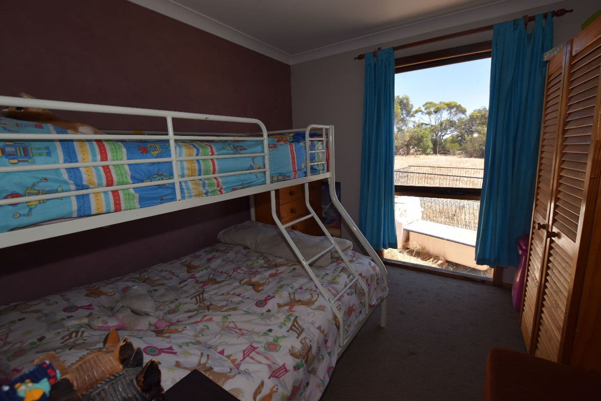 152  Jenkins Road, Kohinoor, SA, 5223, Kohinoor - Thumbnail 8