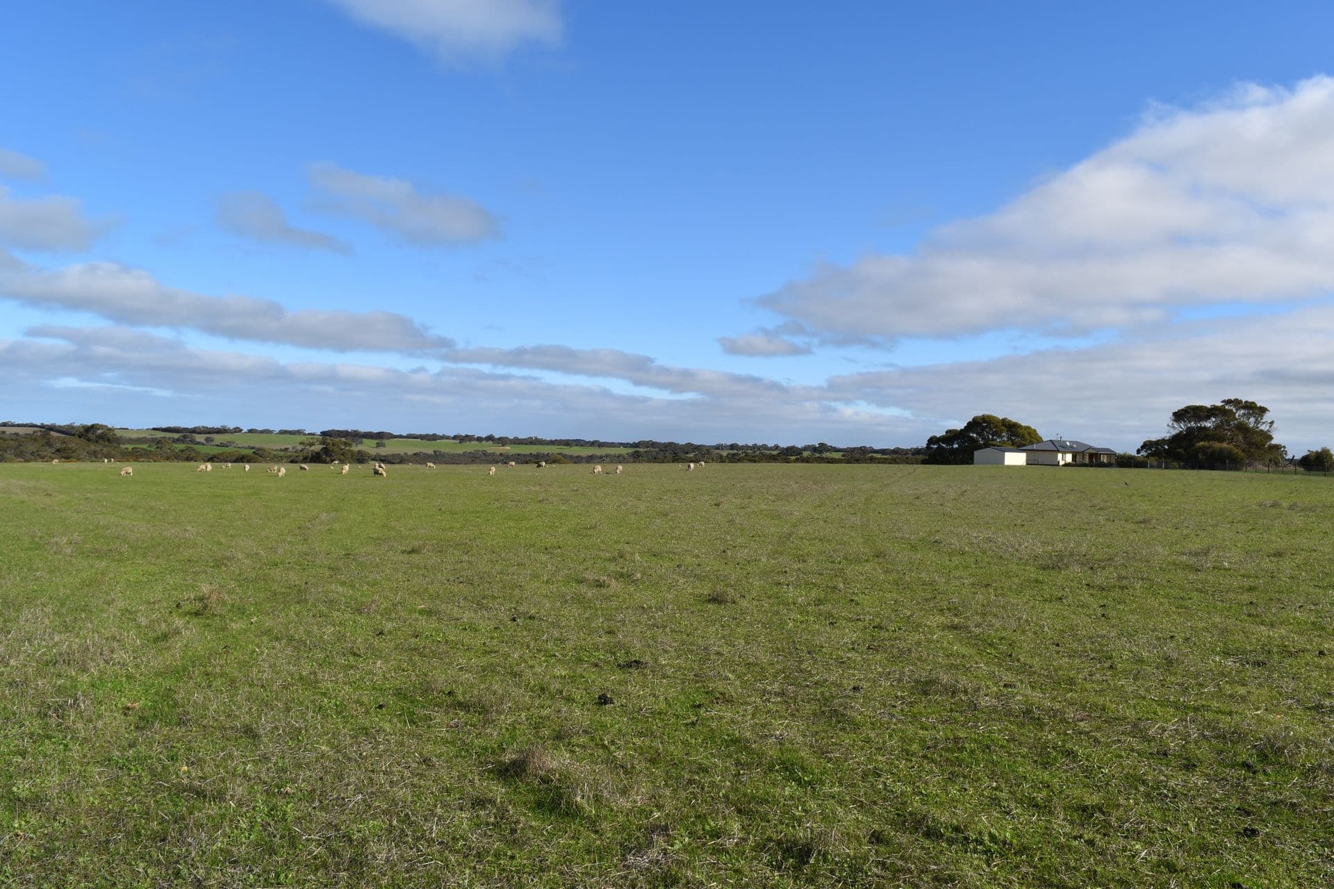 1520 Rowland Hill Highway, Macgillivray, SA, 5223, Macgillivray - Thumbnail 2