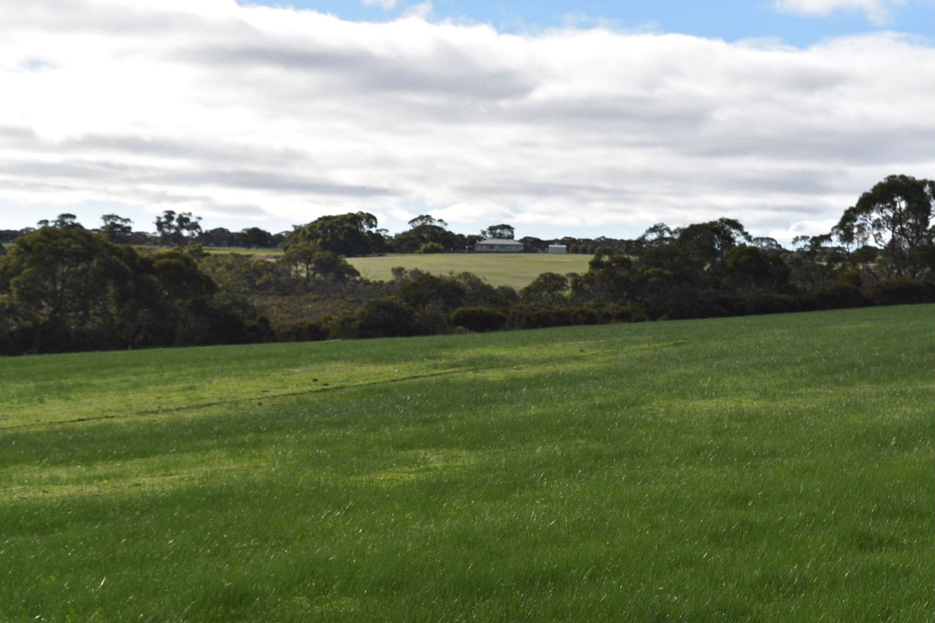 1520 Rowland Hill Highway, Macgillivray, SA, 5223, Macgillivray - Thumbnail 4