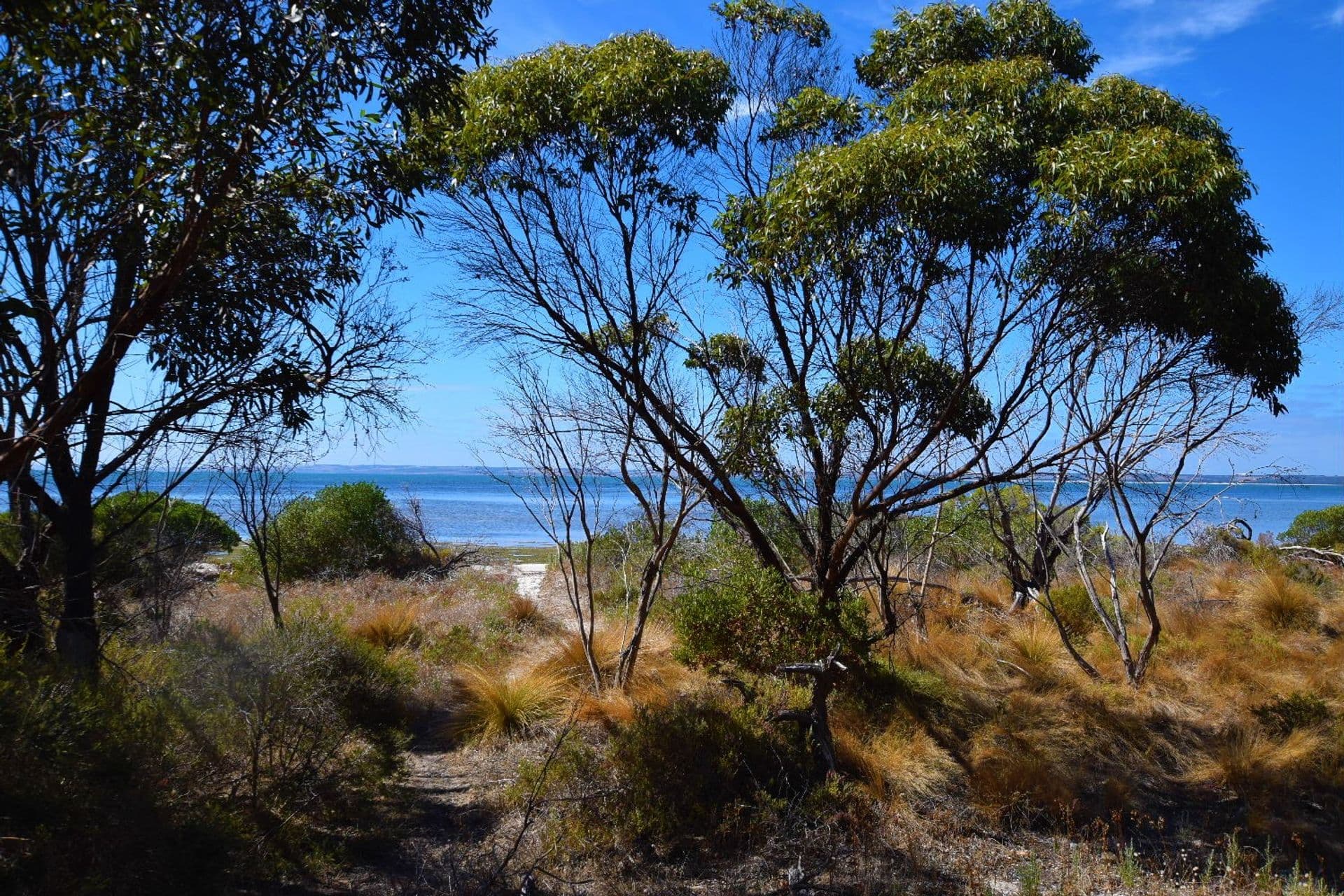 8 The Parade, Brownlow Ki, SA, 5223, Brownlow Ki - Thumbnail 3