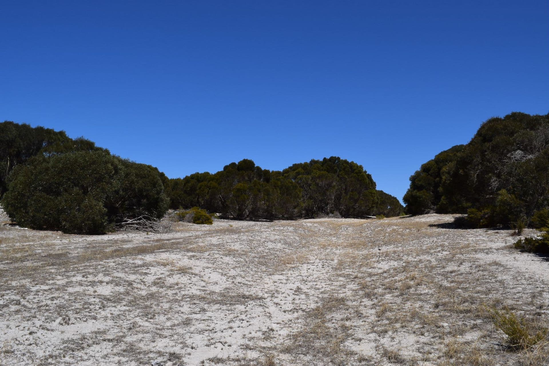 Lot 30 Shoals Road, Kingscote, SA, 5223, Kingscote - Thumbnail 5