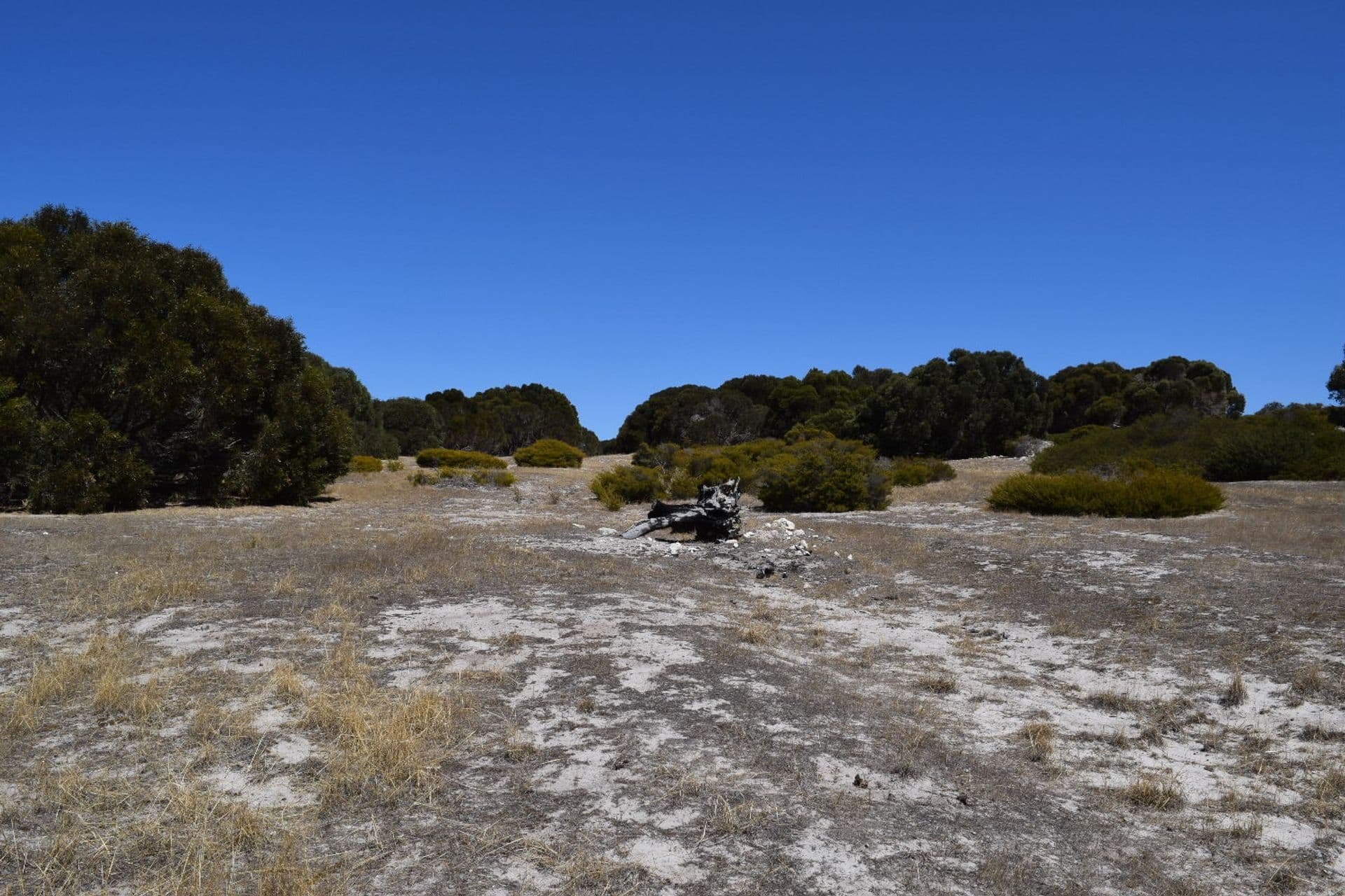 Lot 30 Shoals Road, Kingscote, SA, 5223, Kingscote - Thumbnail 8