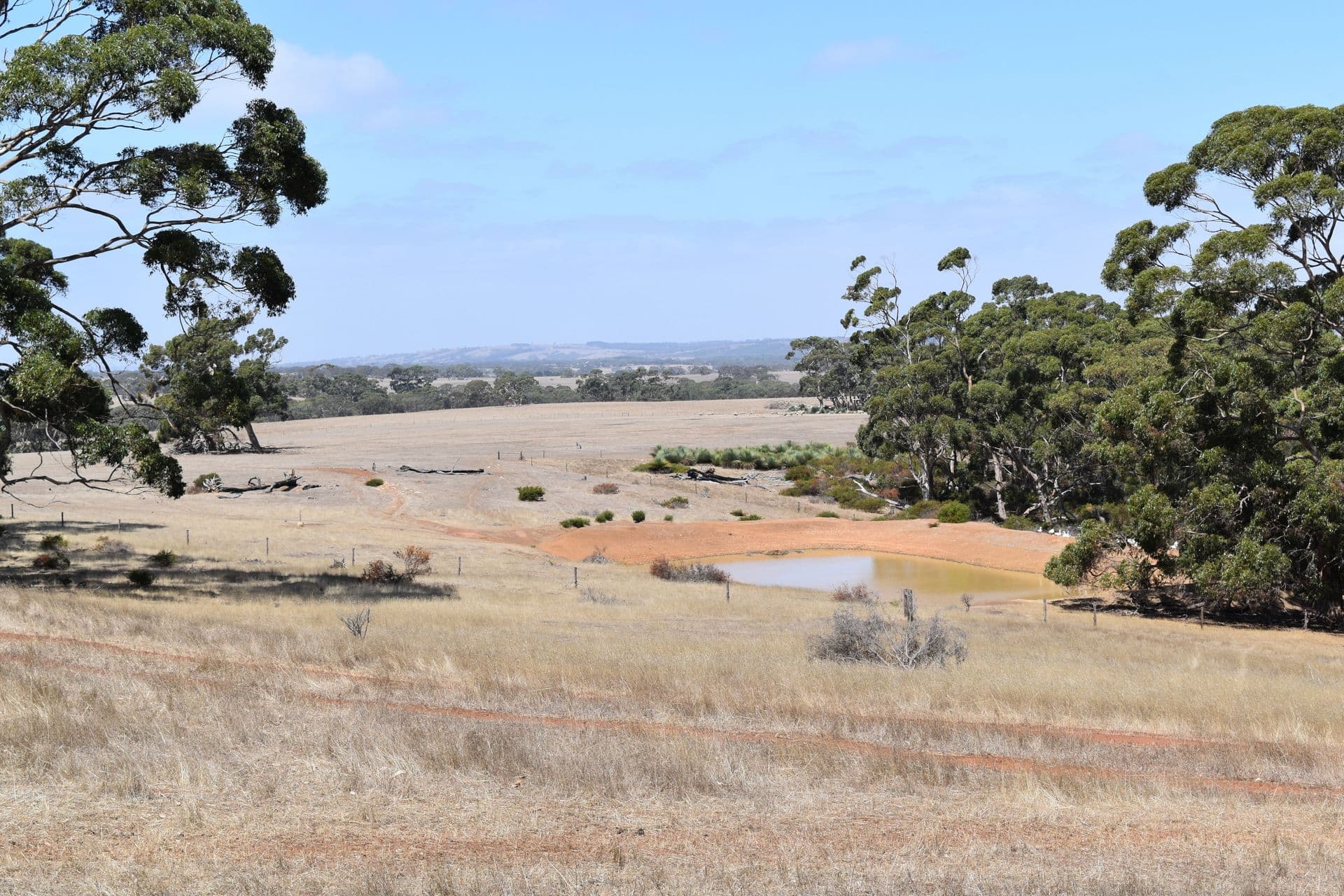 Sec 62 Bark Hutt Road, Cassini, SA, 5223, Cassini - Thumbnail 7