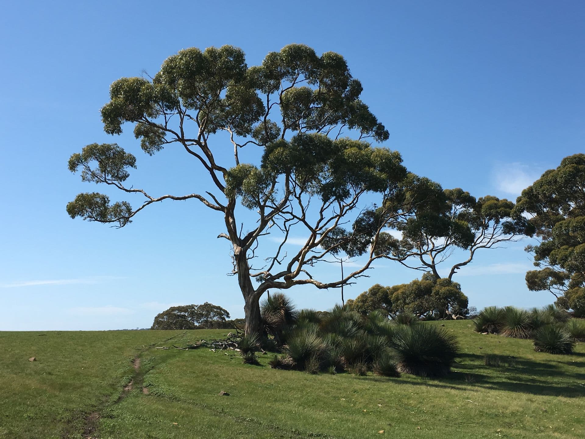 Sec 62 Bark Hutt Road, Cassini, SA, 5223, Cassini - Thumbnail 2