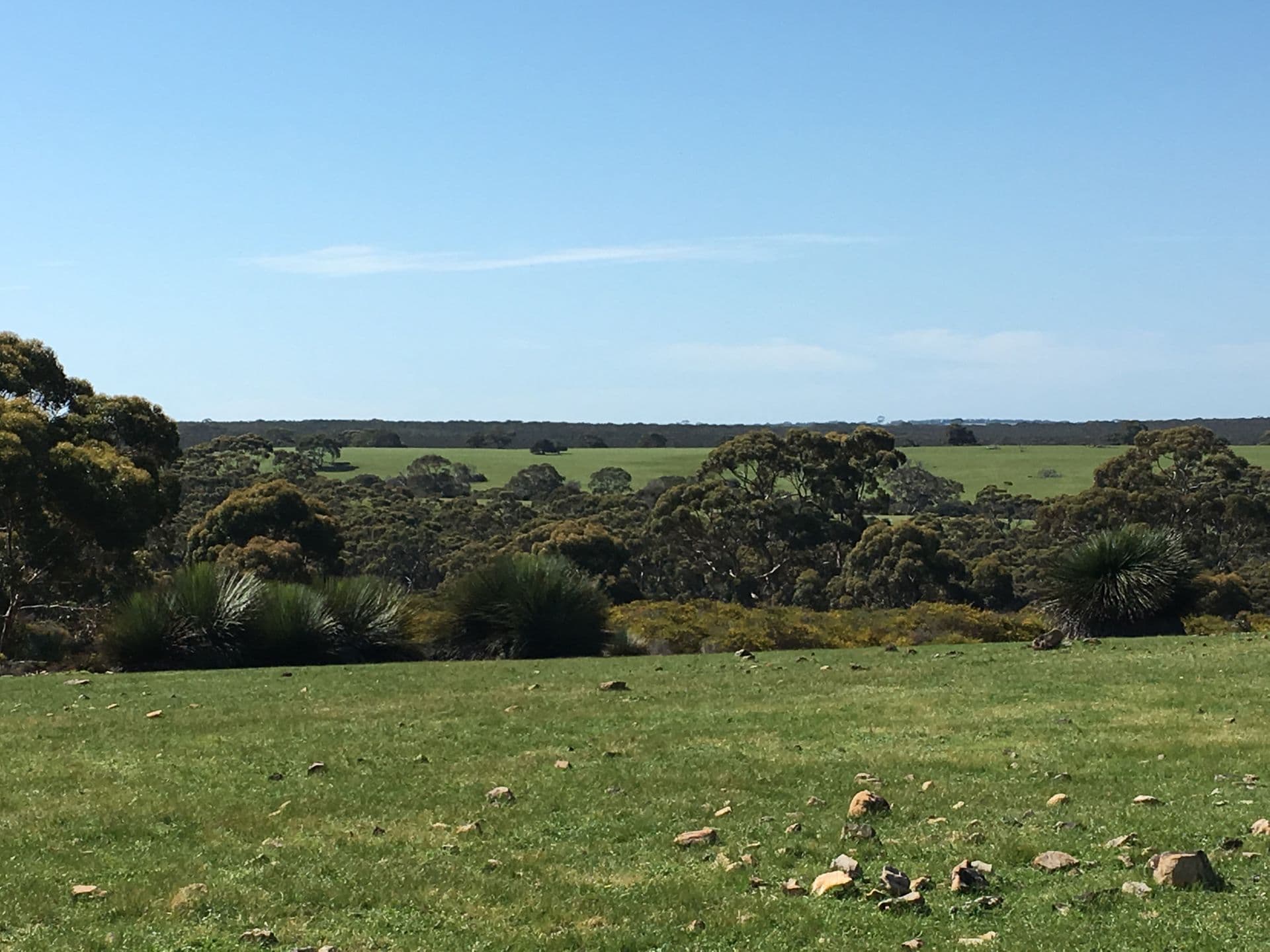 Sec 62 Bark Hutt Road, Cassini, SA, 5223, Cassini - Thumbnail 3