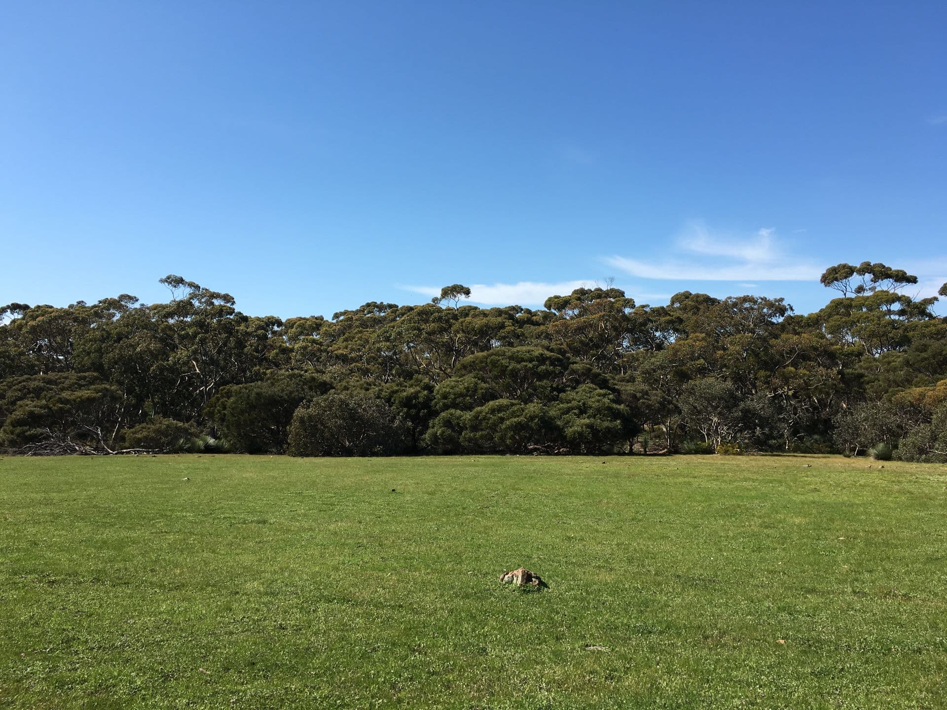 Sec 62 Bark Hutt Road, Cassini, SA, 5223, Cassini - Thumbnail 4
