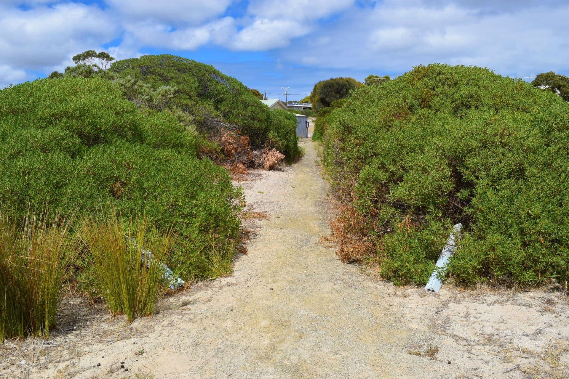 Lot 65 The Esplanade, Baudin Beach, SA, 5222, Baudin Beach - Thumbnail 7