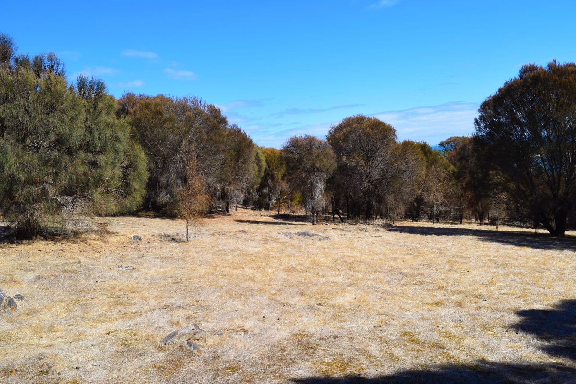 Lot 1 Binneys Track, Penneshaw, SA, 5222, Penneshaw - Thumbnail 5