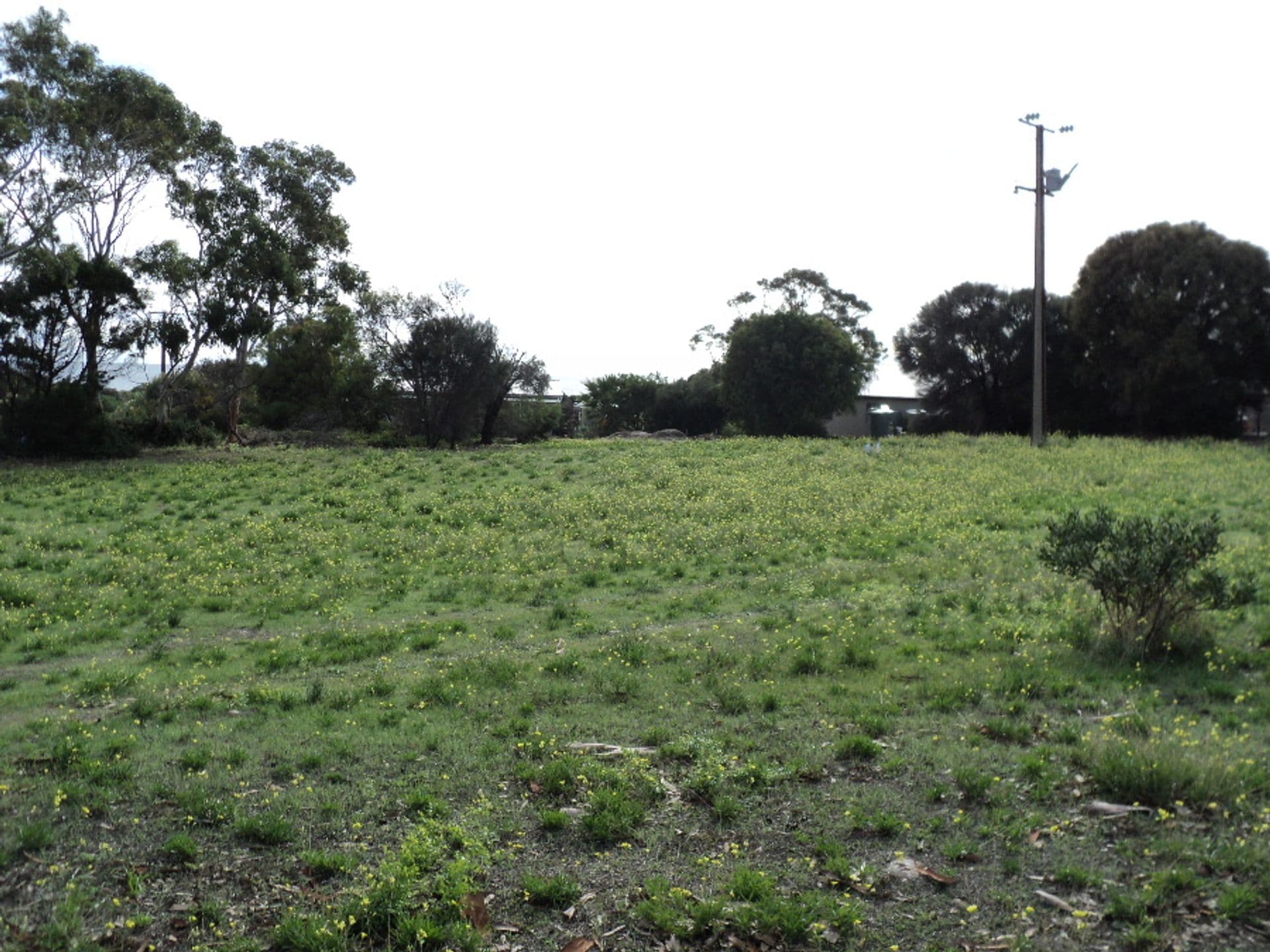 35 Beach Crescent, Baudin Beach, SA, 5222, Baudin Beach - Thumbnail 3