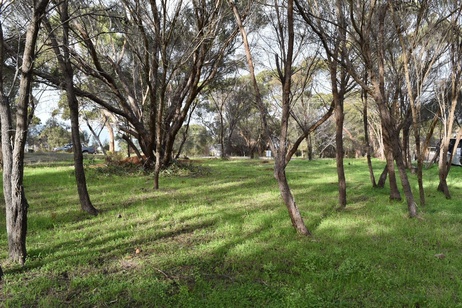 23 Archibald Street, American River, SA, 5221, American River - Thumbnail 6