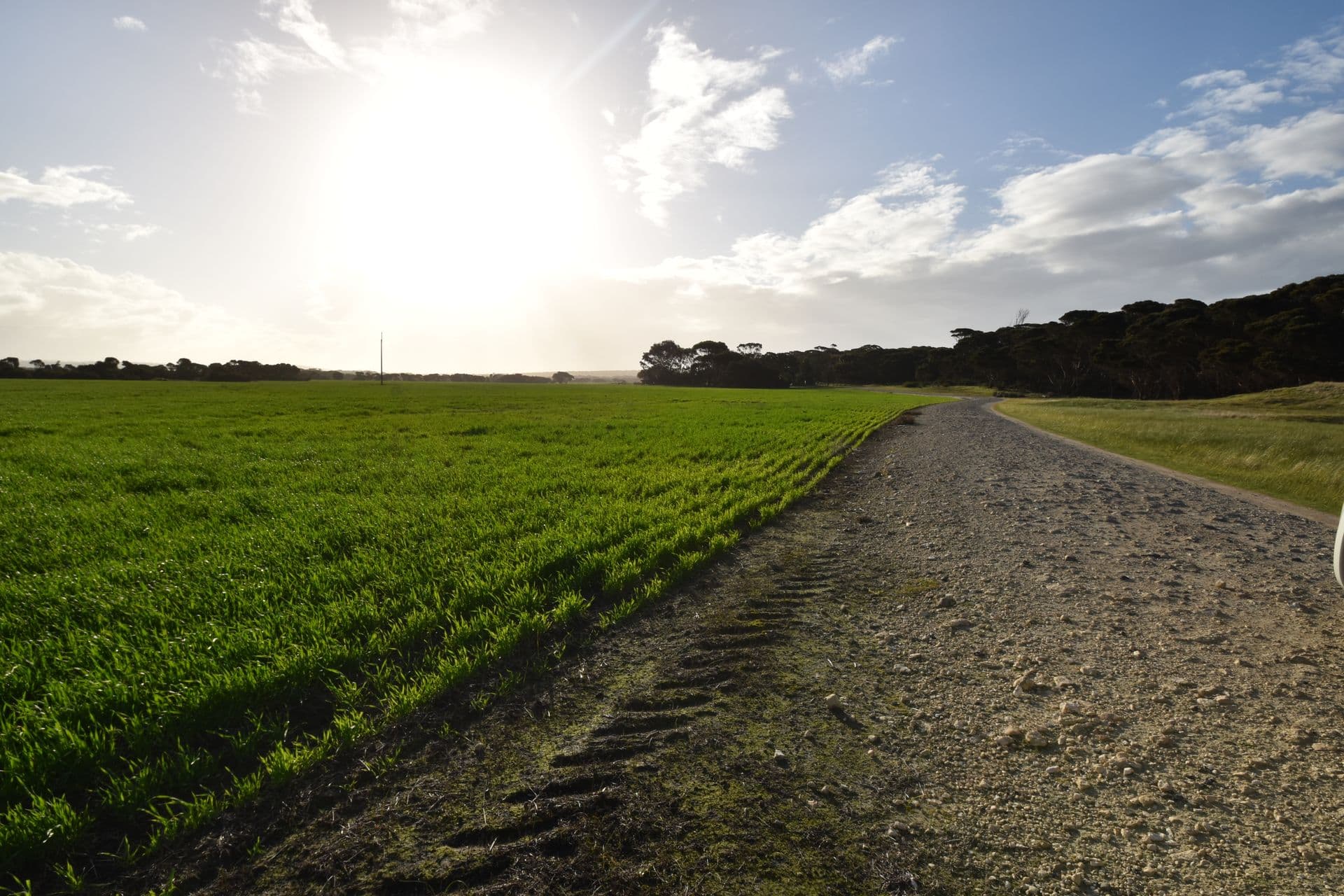75 North Cape Road, Wisanger, SA, 5223, Bay Of Shoals - Thumbnail 2