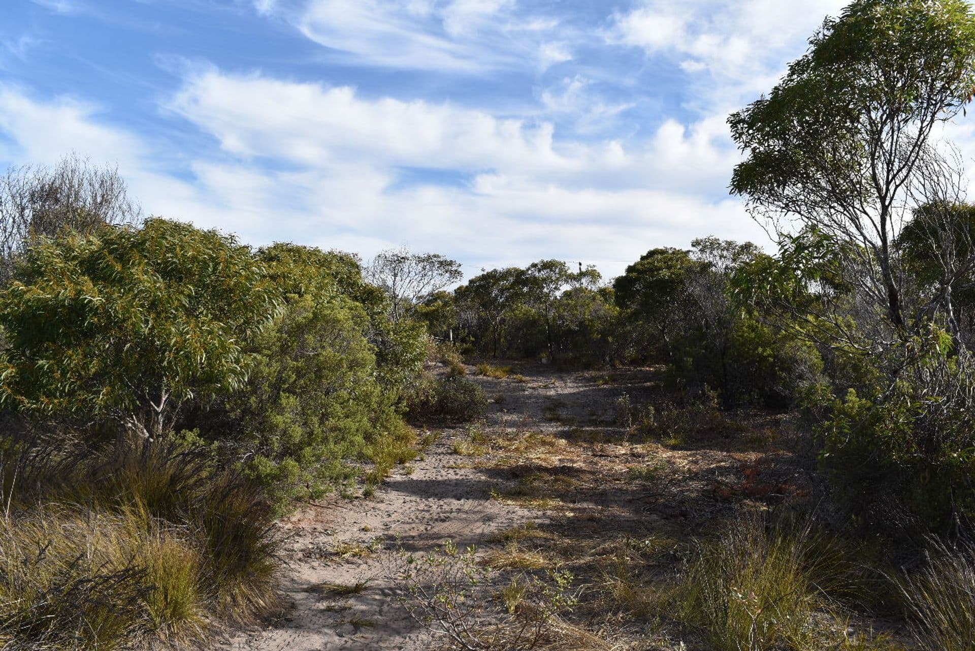 253 Mercer Springate Road, Nanango, QLD, 4615, East Nanango - Thumbnail 3