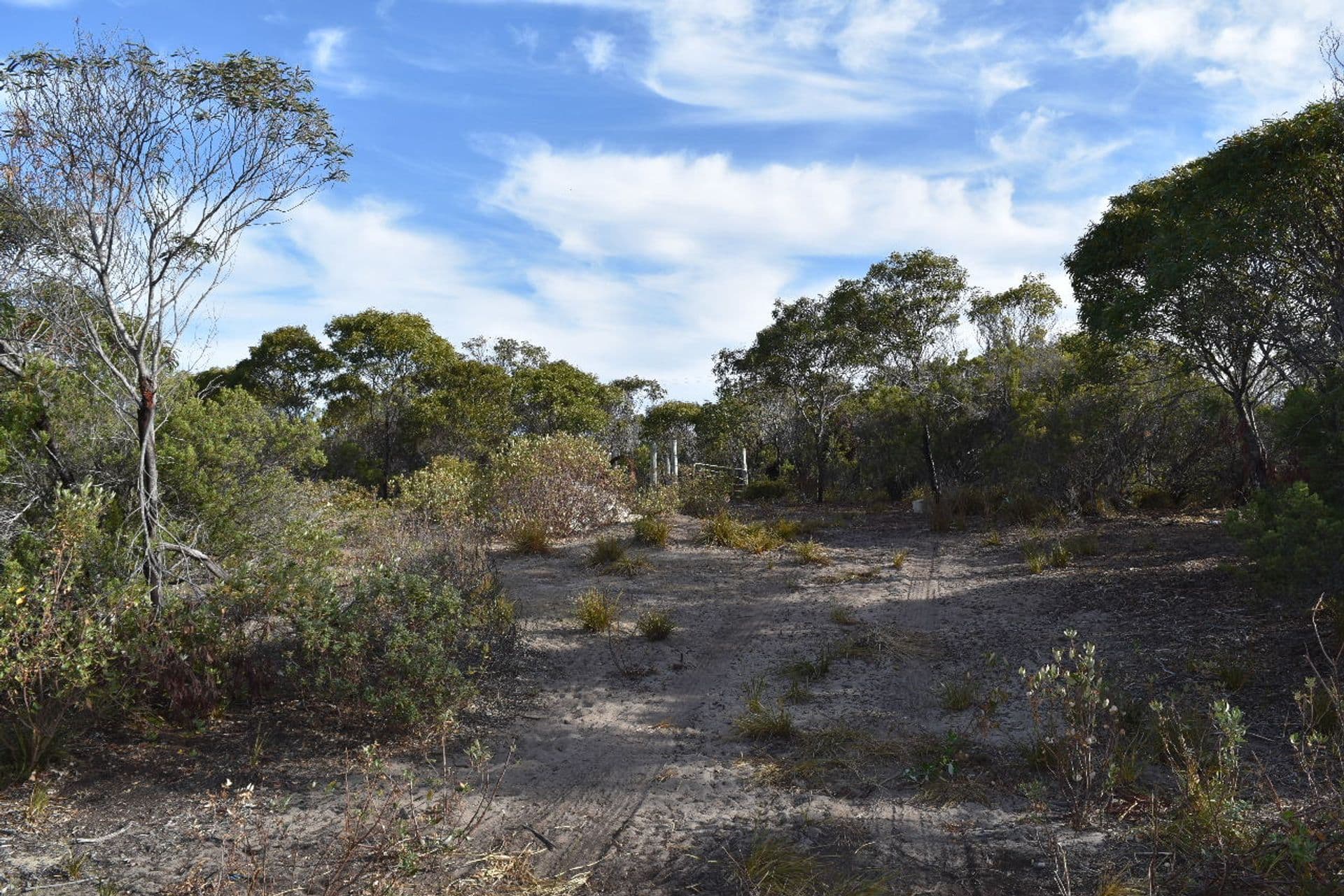 253 Mercer Springate Road, Nanango, QLD, 4615, East Nanango - Thumbnail 4