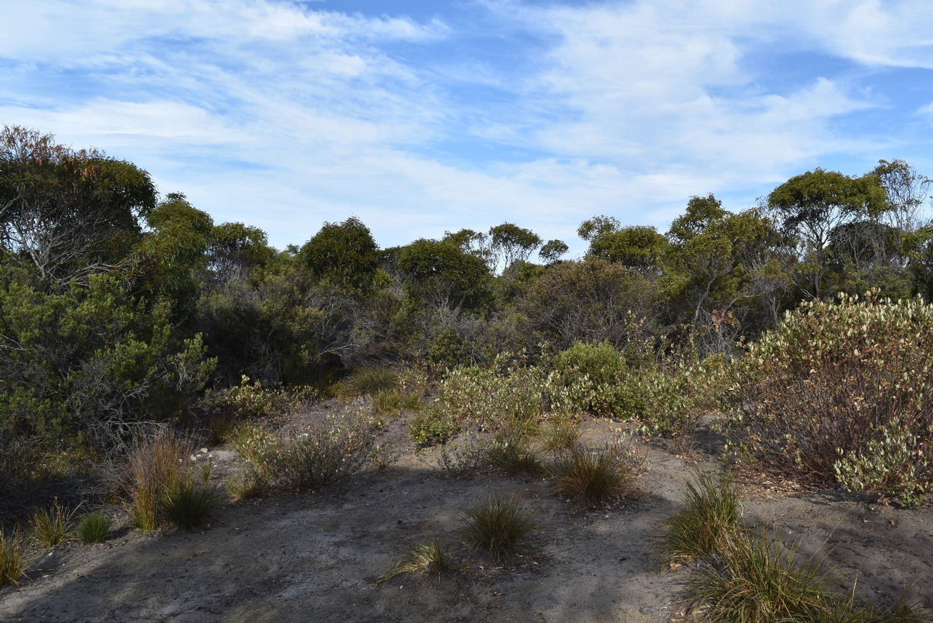 253 Mercer Springate Road, Nanango, QLD, 4615, East Nanango - Thumbnail 5