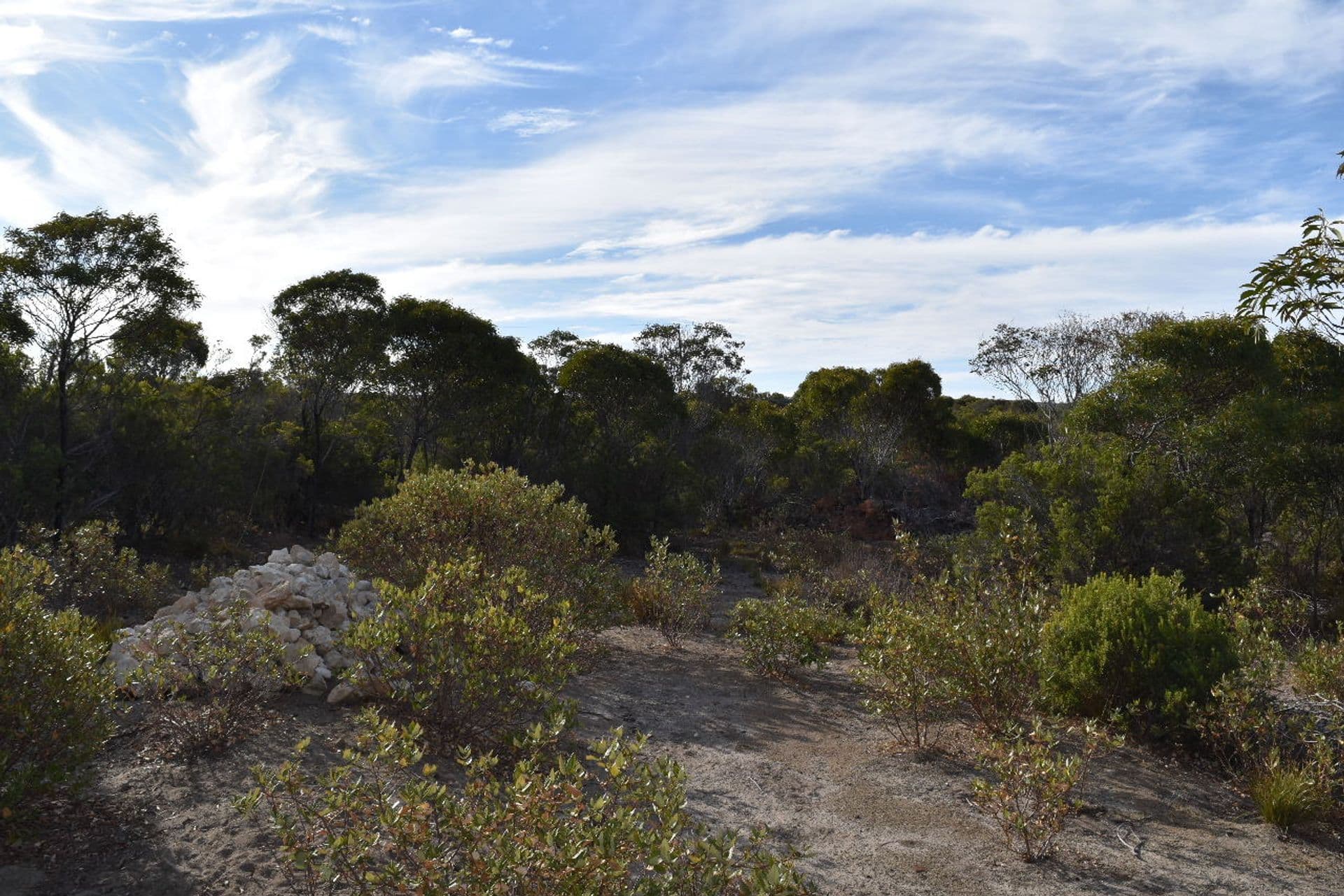 253 Mercer Springate Road, Nanango, QLD, 4615, East Nanango - Thumbnail 6