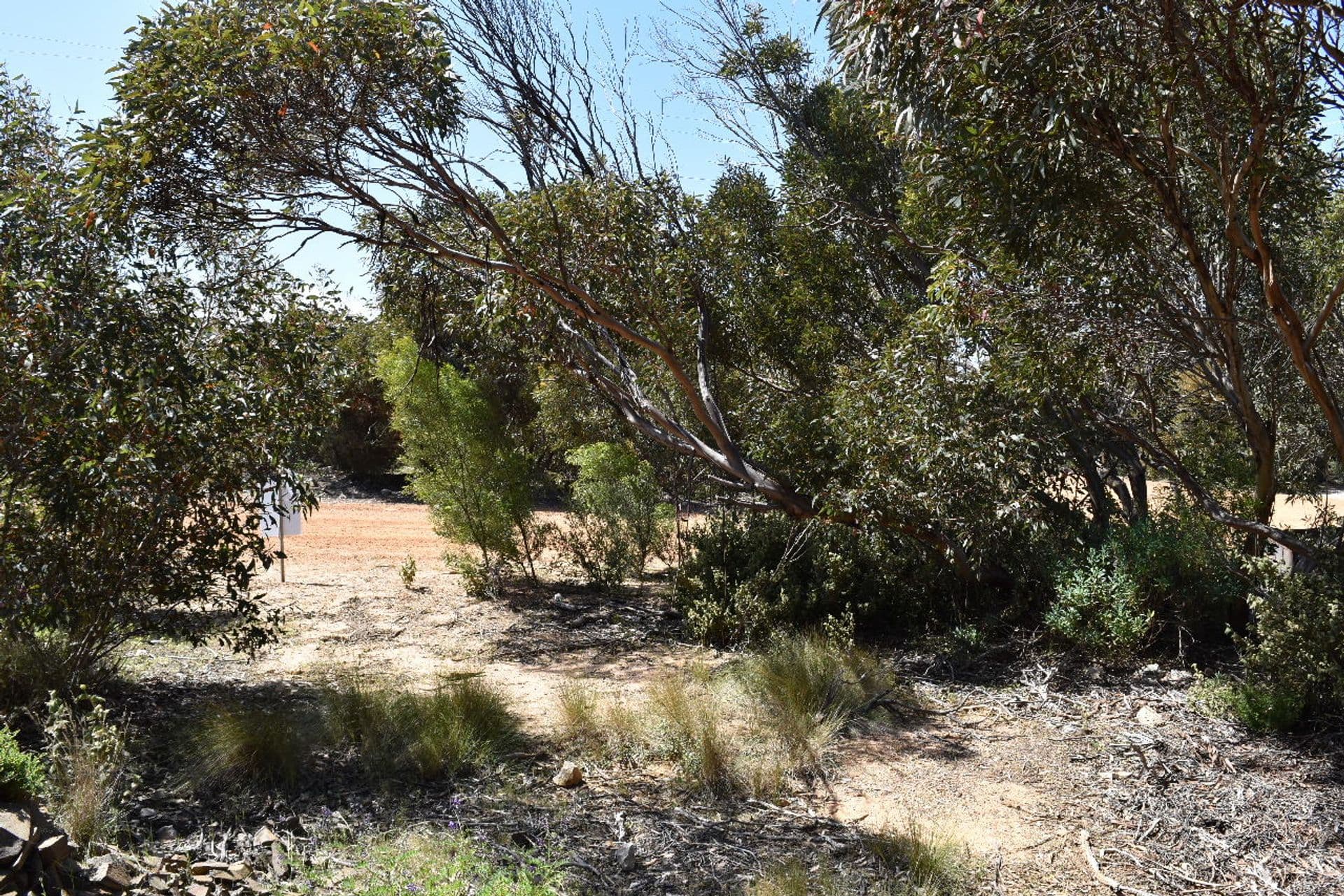 22 Dolphin Crescent, Vivonne Bay, SA, 5223, Vivonne Bay - Thumbnail 6
