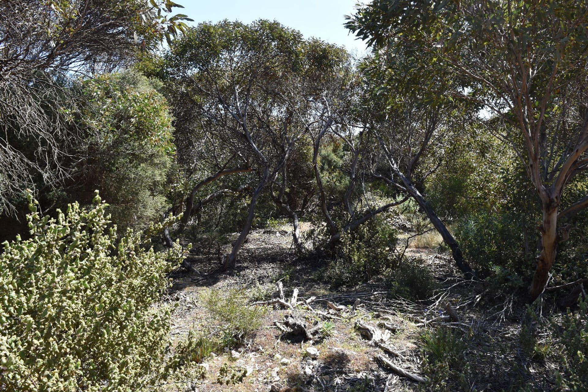 22 Dolphin Crescent, Vivonne Bay, SA, 5223, Vivonne Bay - Thumbnail 8