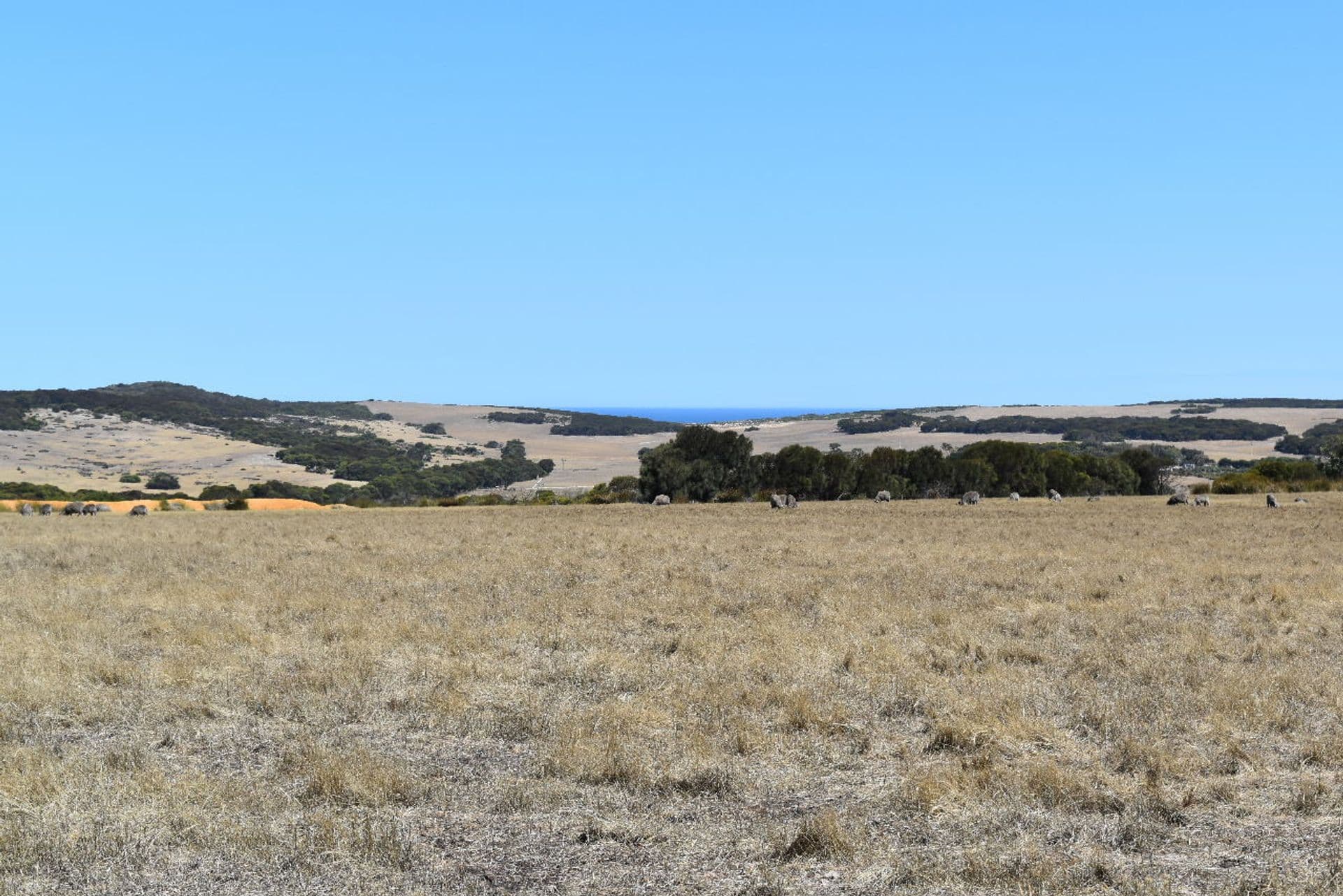 44 Florance Road, Haines, SA, 5223, Haines - Image 1