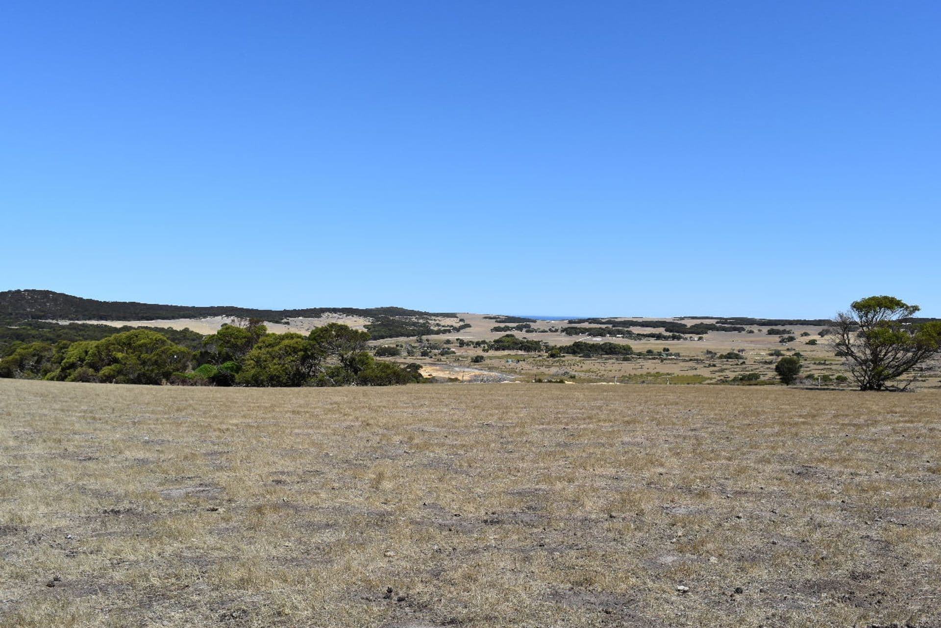 44 Florance Road, Haines, SA, 5223, Haines - Thumbnail 3