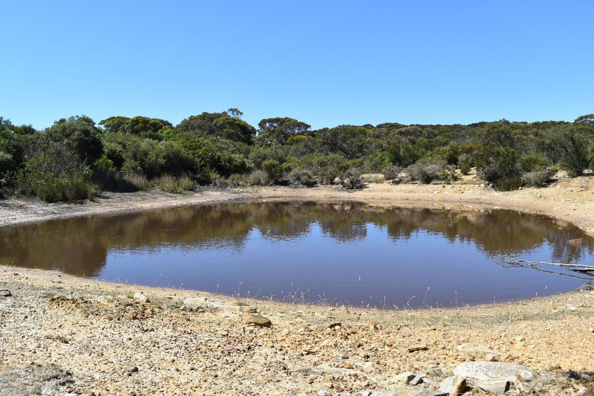 44 Florance Road, Haines, SA, 5223, Haines - Thumbnail 4