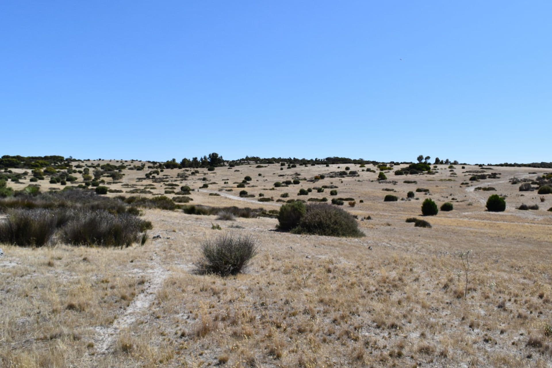 Lot 102 Old Salt Lake Road, Haines, SA, 5223, Haines - Thumbnail 4