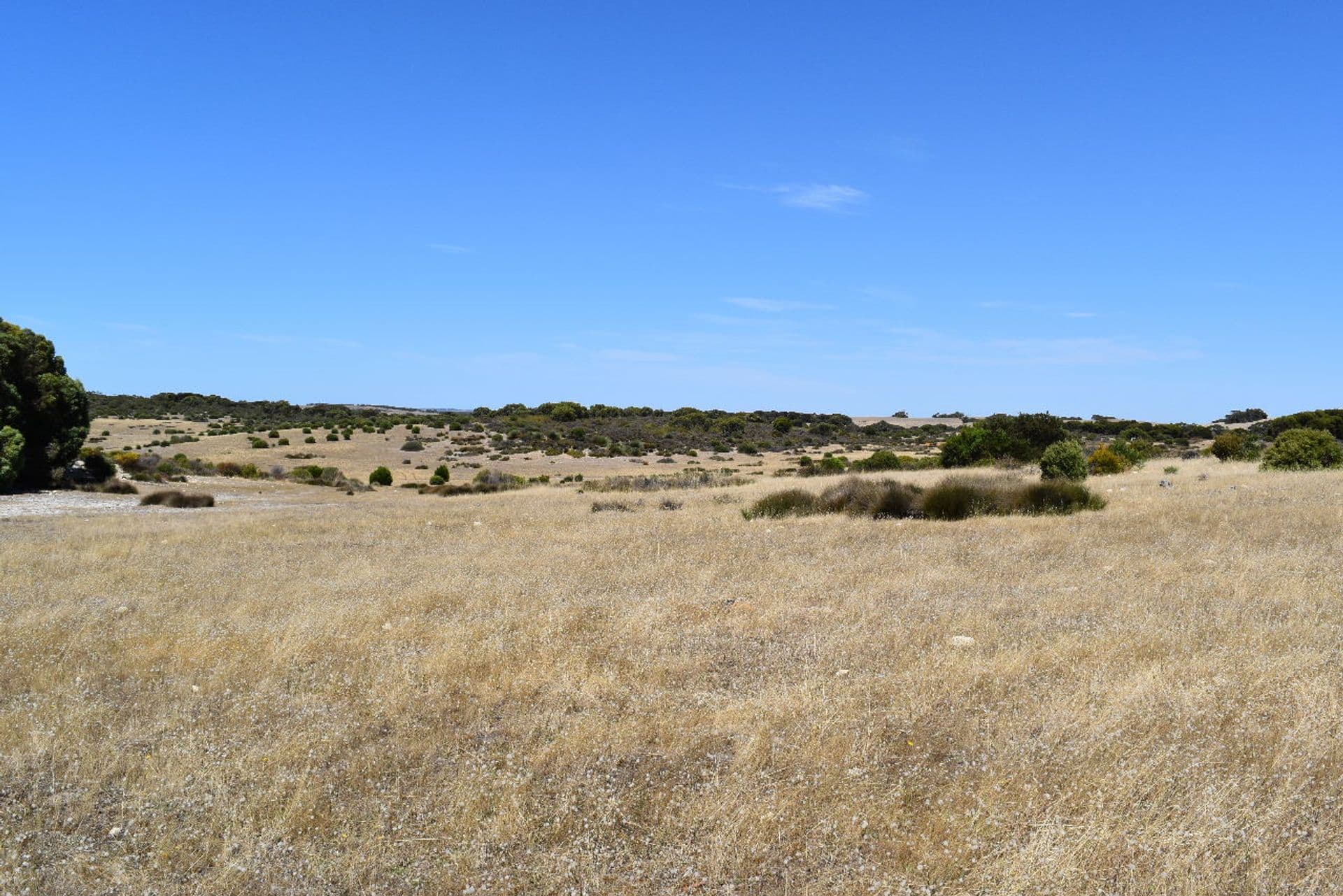Lot 102 Old Salt Lake Road, Haines, SA, 5223, Haines - Thumbnail 5