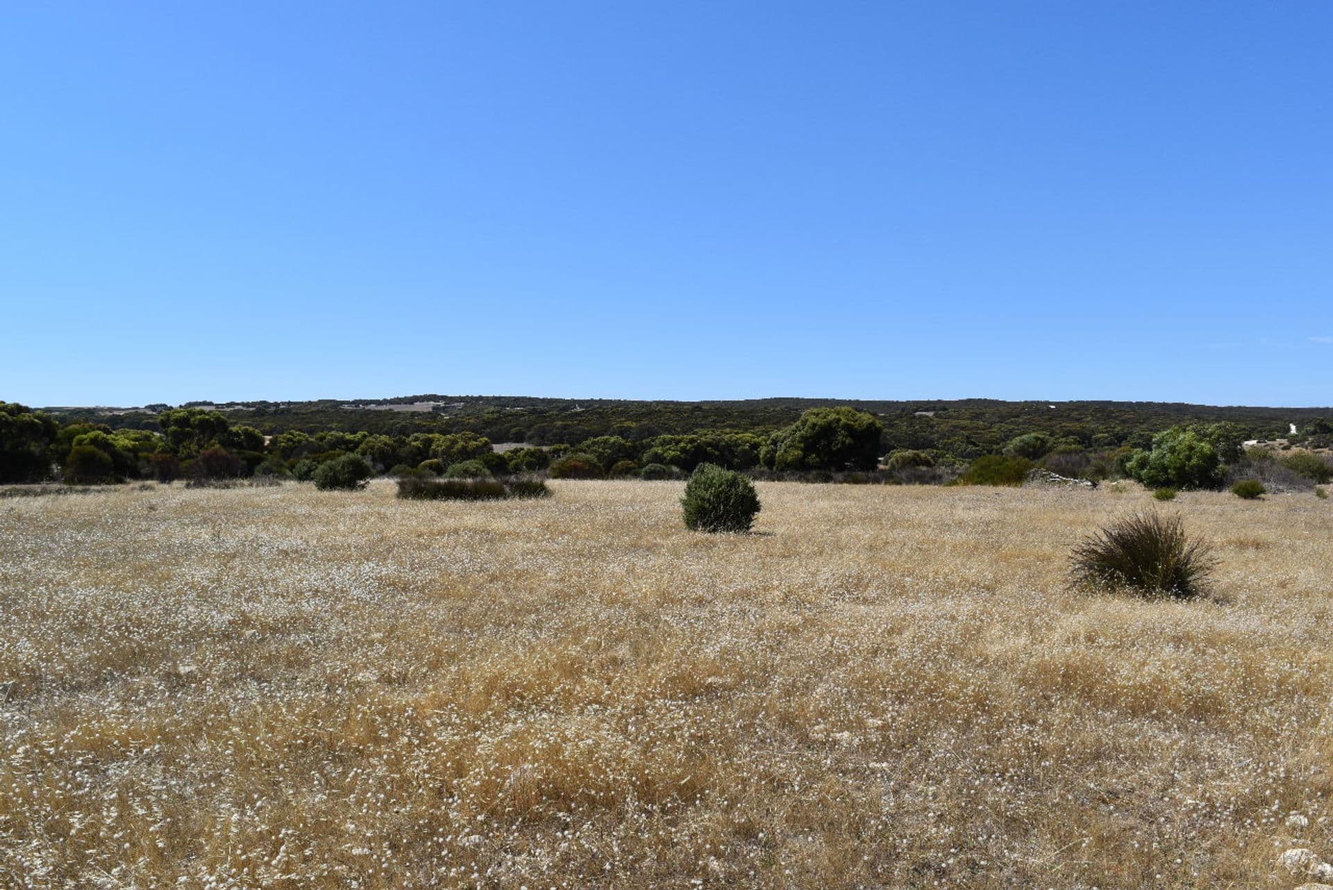 Lot 102 Old Salt Lake Road, Haines, SA, 5223, Haines - Thumbnail 6