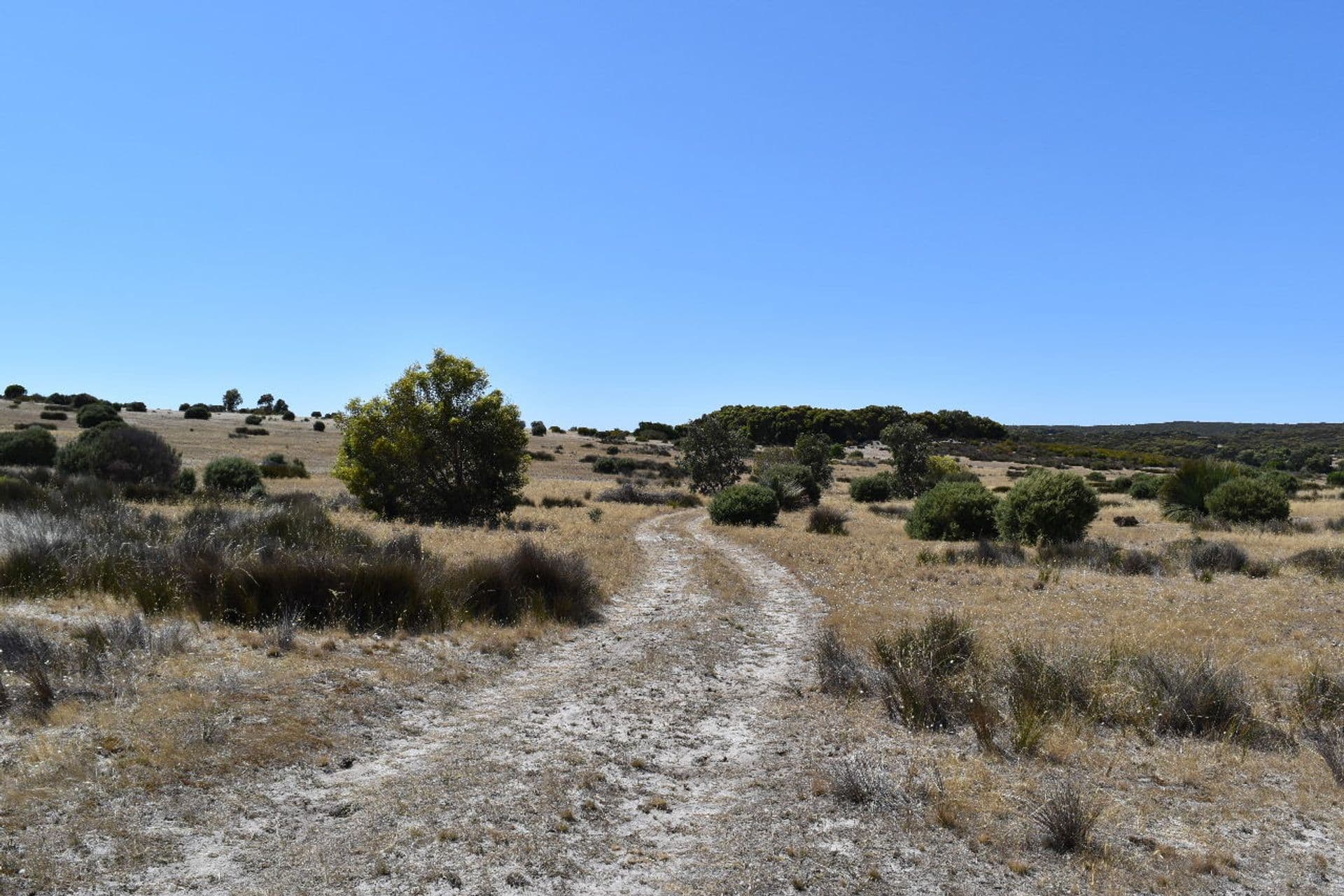 Lot 102 Old Salt Lake Road, Haines, SA, 5223, Haines - Thumbnail 8