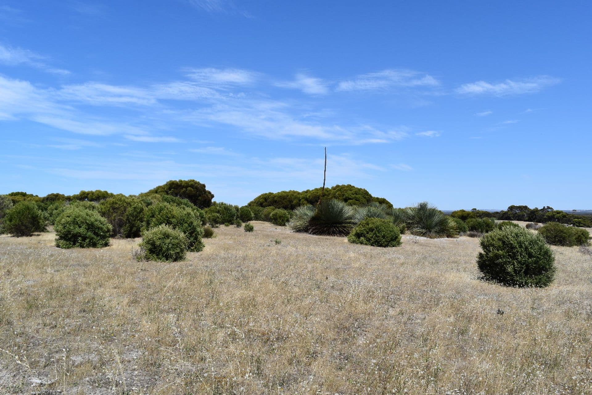 Lot 102 Old Salt Lake Road, Haines, SA, 5223, Haines - Thumbnail 2