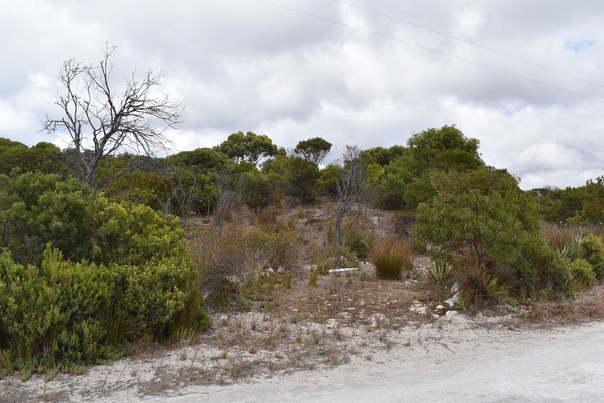 59-61 Pennington Road, Island Beach, SA, 5222, Island Beach - Thumbnail 4