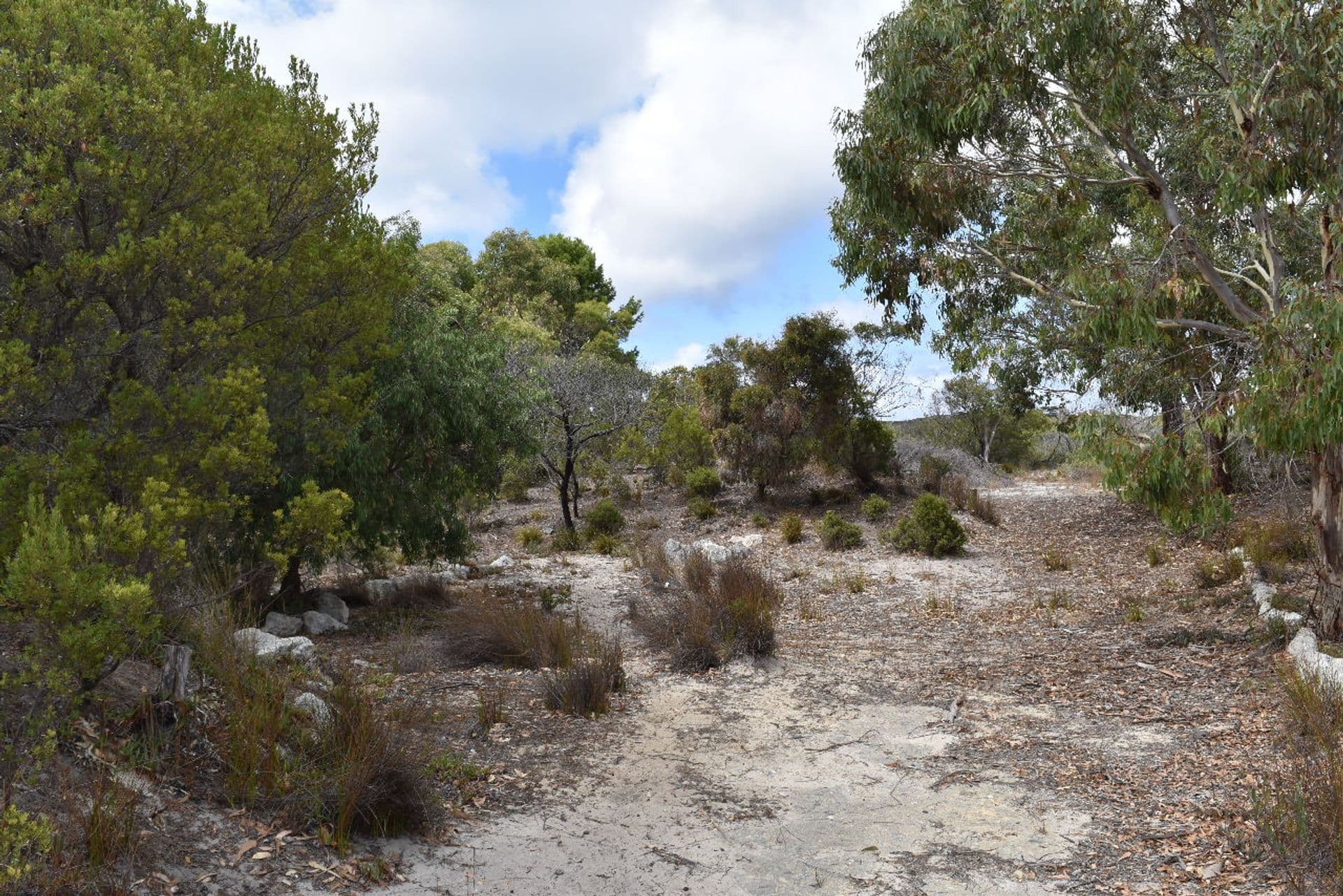 59-61 Pennington Road, Island Beach, SA, 5222, Island Beach - Thumbnail 7