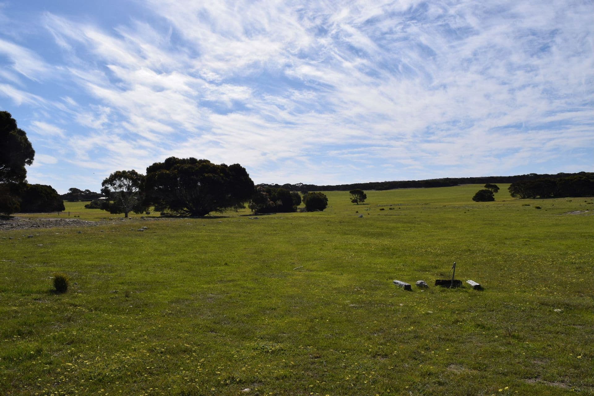106 Rhynne Road, Bay Of Shoals, SA, 5223, Bay Of Shoals - Thumbnail 3