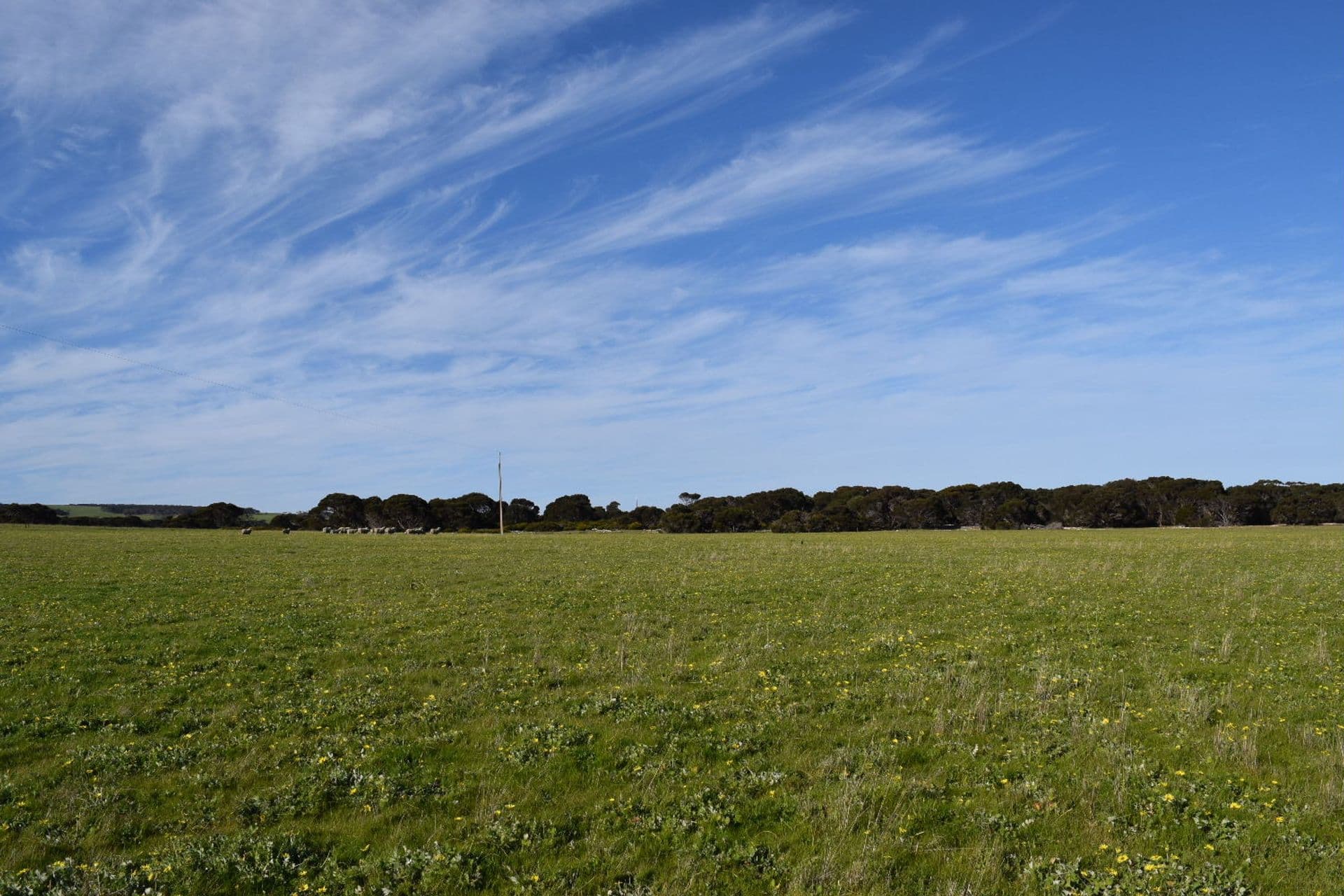 106 Rhynne Road, Bay Of Shoals, SA, 5223, Bay Of Shoals - Thumbnail 5