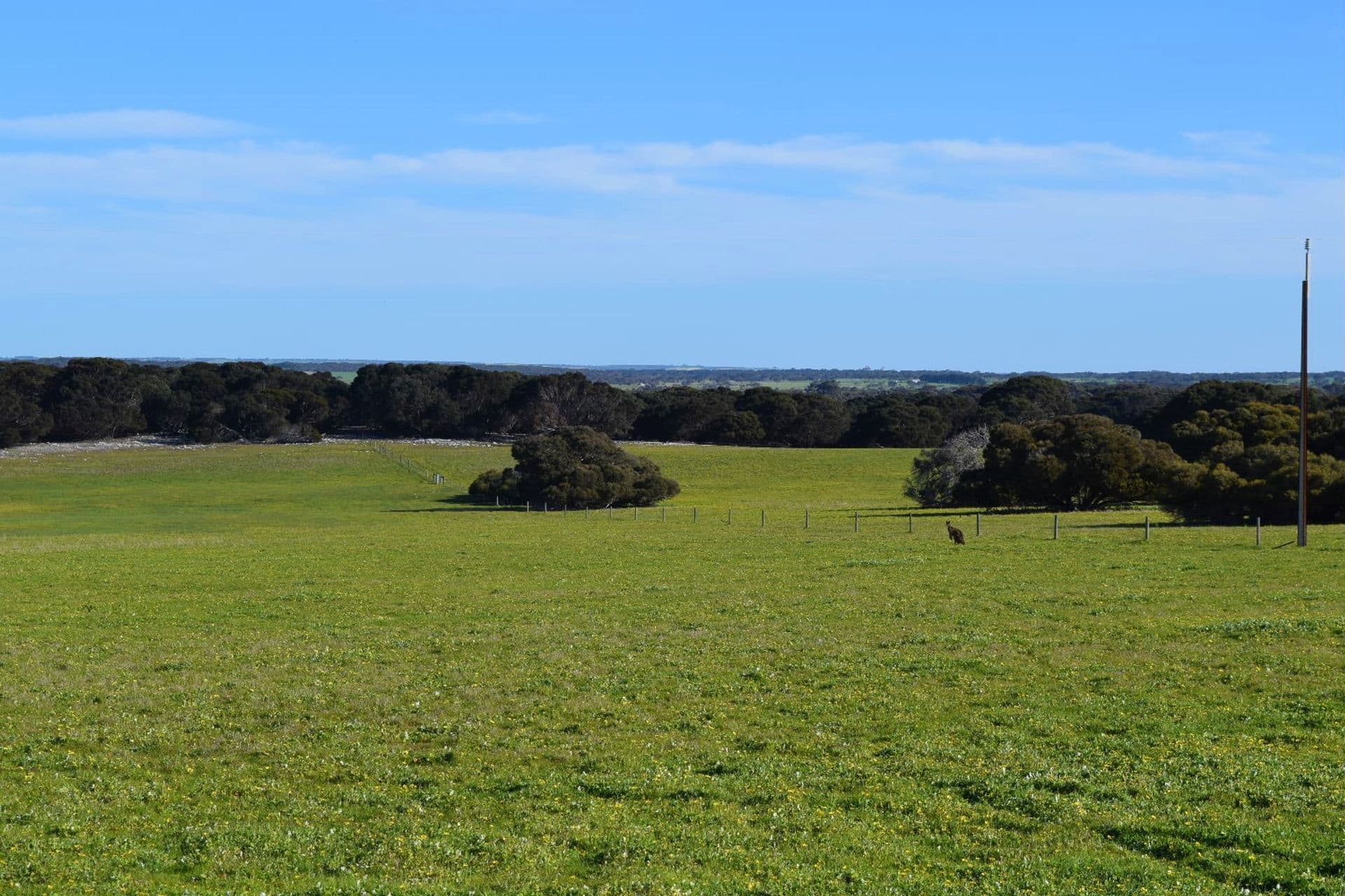 106 Rhynne Road, Bay Of Shoals, SA, 5223, Bay Of Shoals - Thumbnail 8