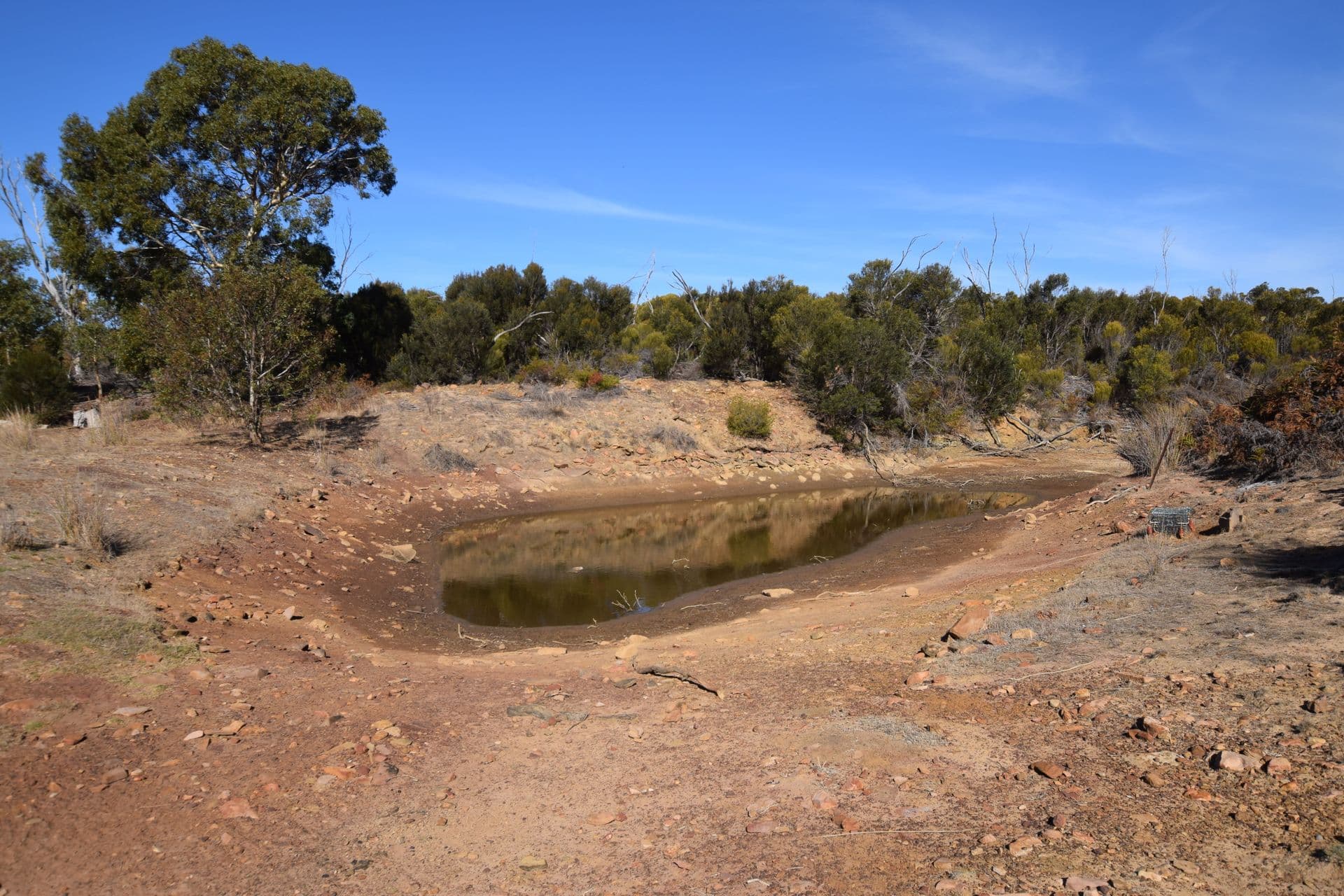 Lot 1 North Coast Road, Menzies, SA, 5223, Menzies - Thumbnail 6