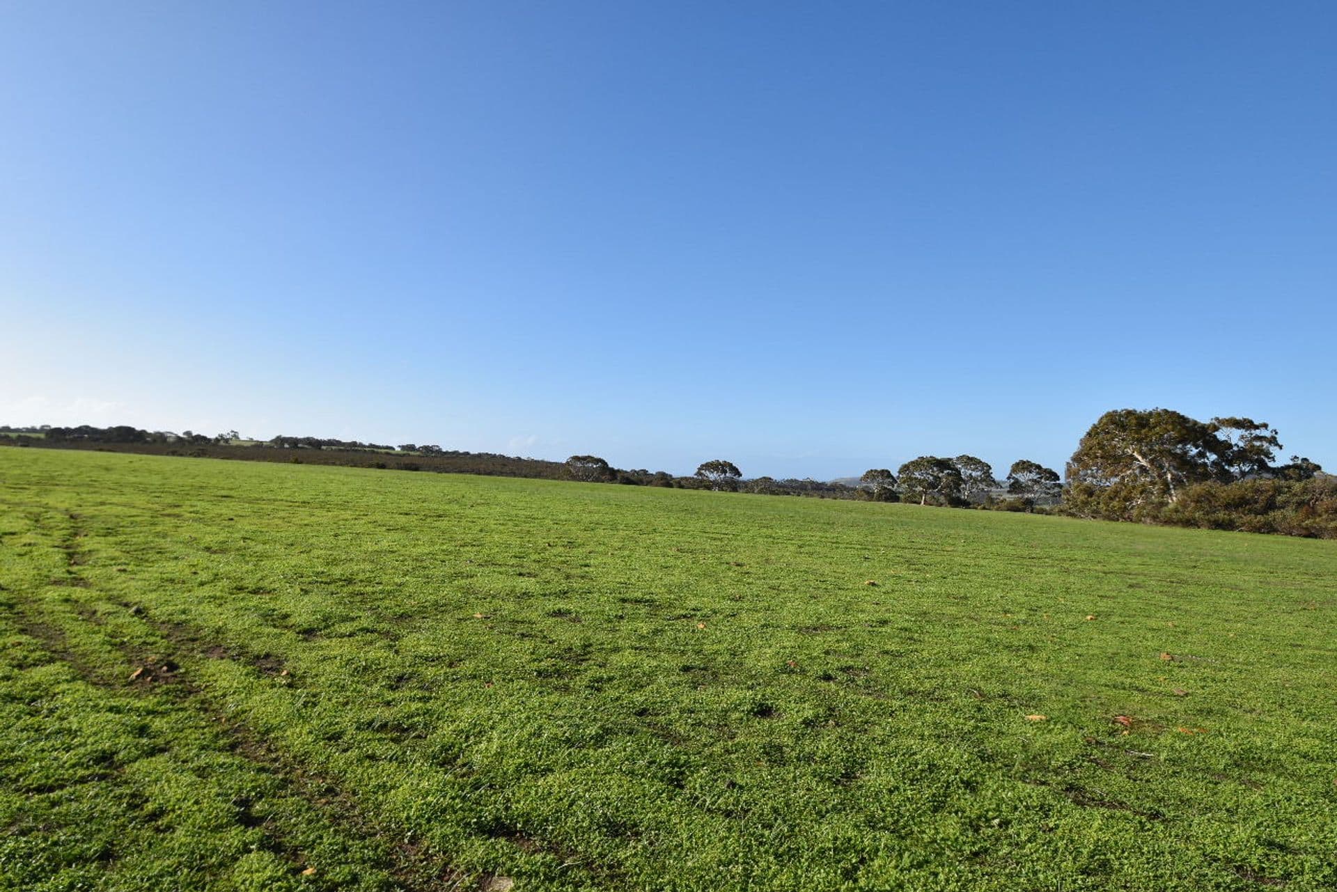 Lot 1 North Coast Road, Menzies, SA, 5223, Menzies - Thumbnail 4